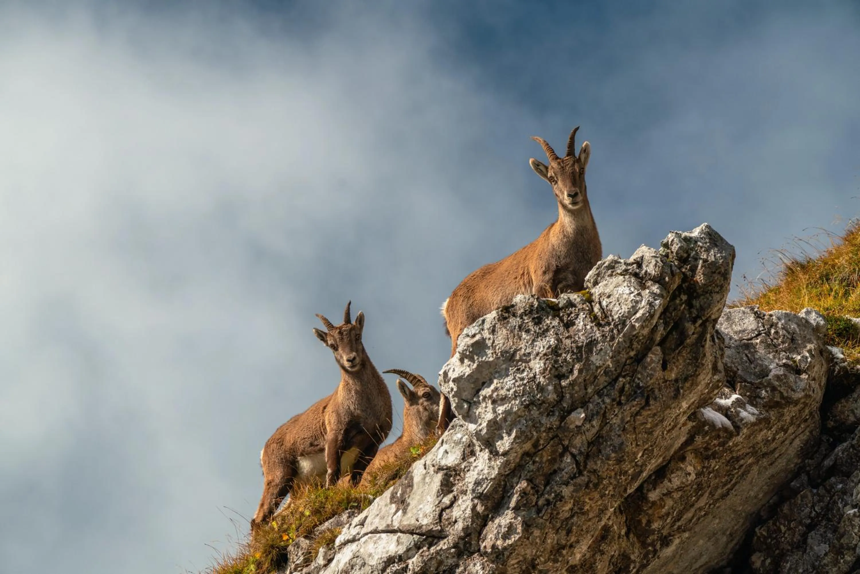 Property building in Hotel Pilatus-Kulm