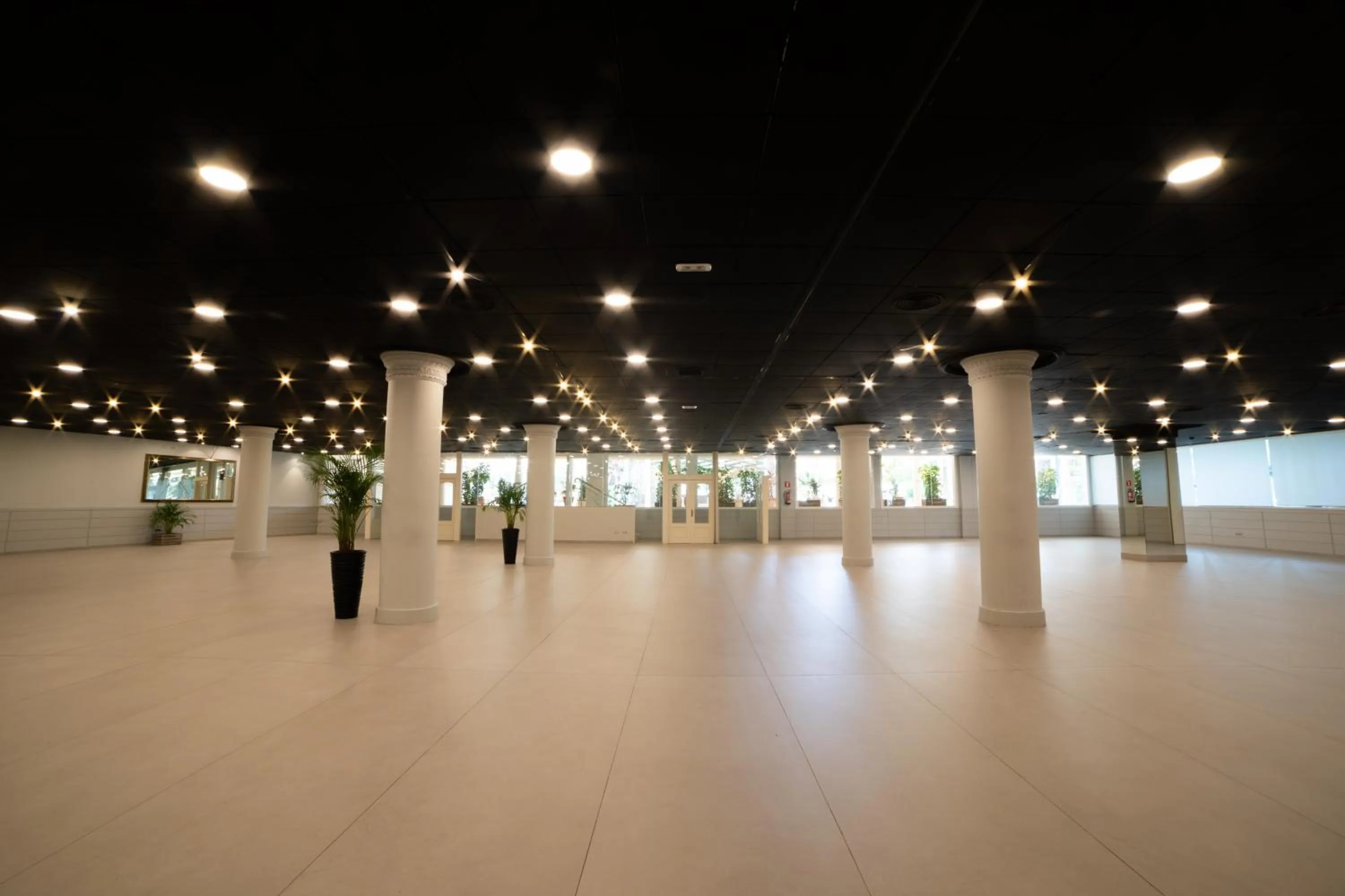 Business facilities in Palas Pineda