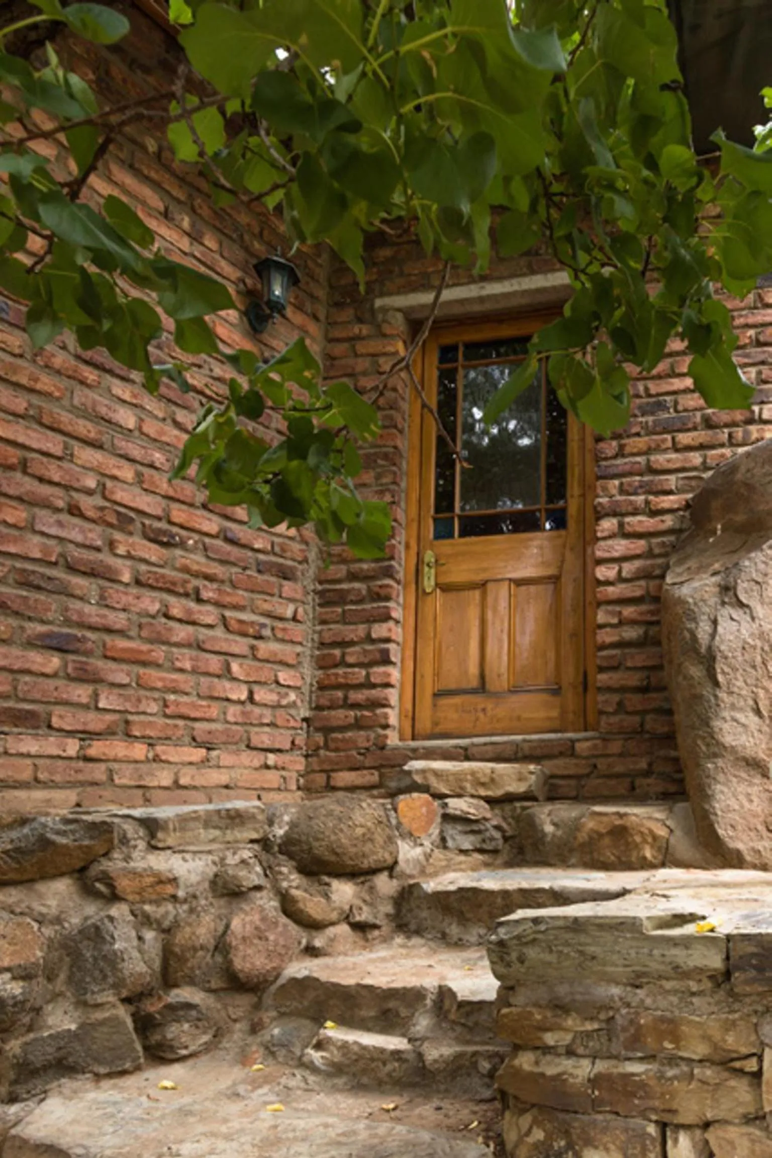 Garden in NANNA ROUS' TOWN HOUSE