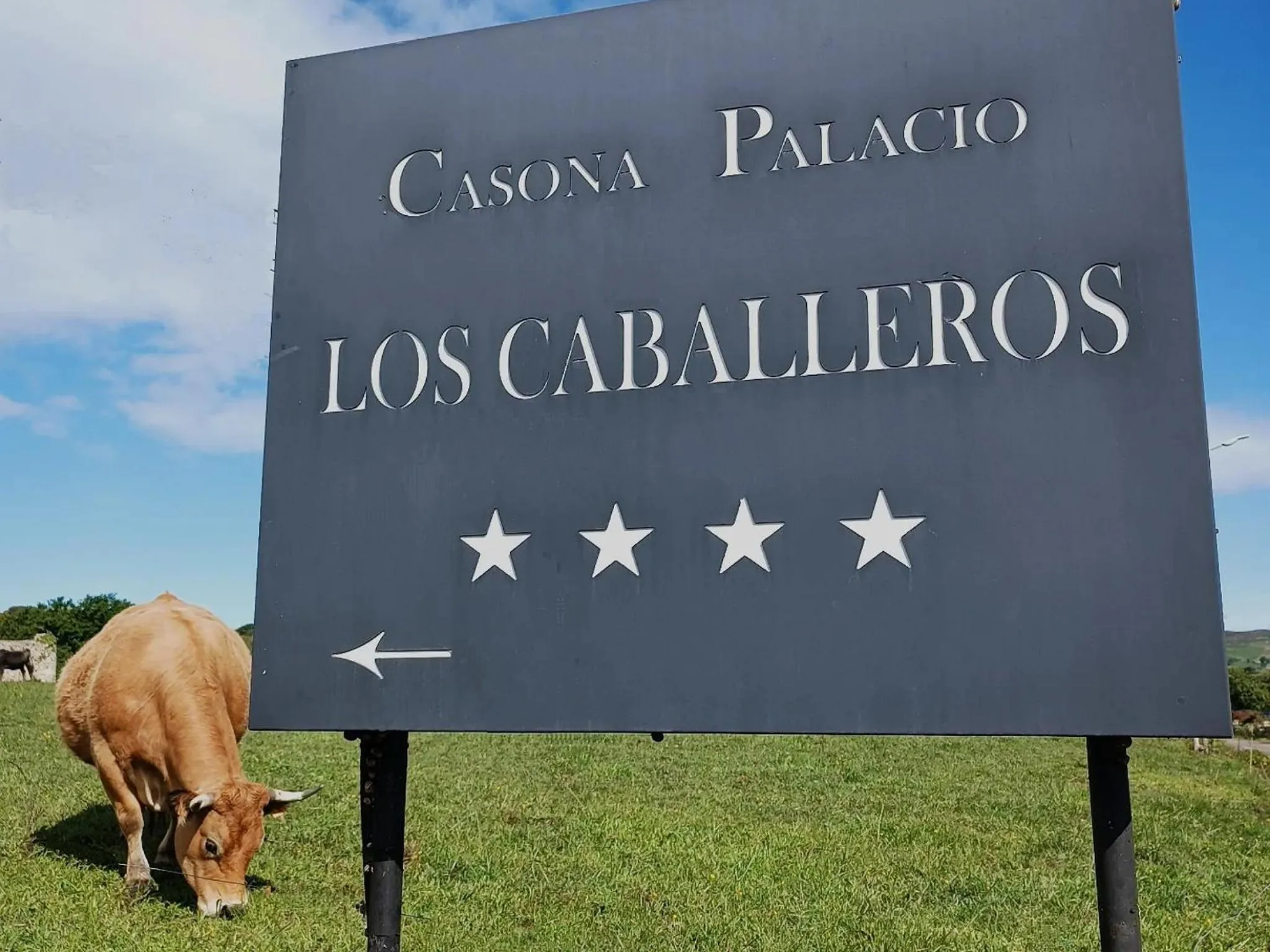 Property logo or sign in Hotel Casona Los Caballeros