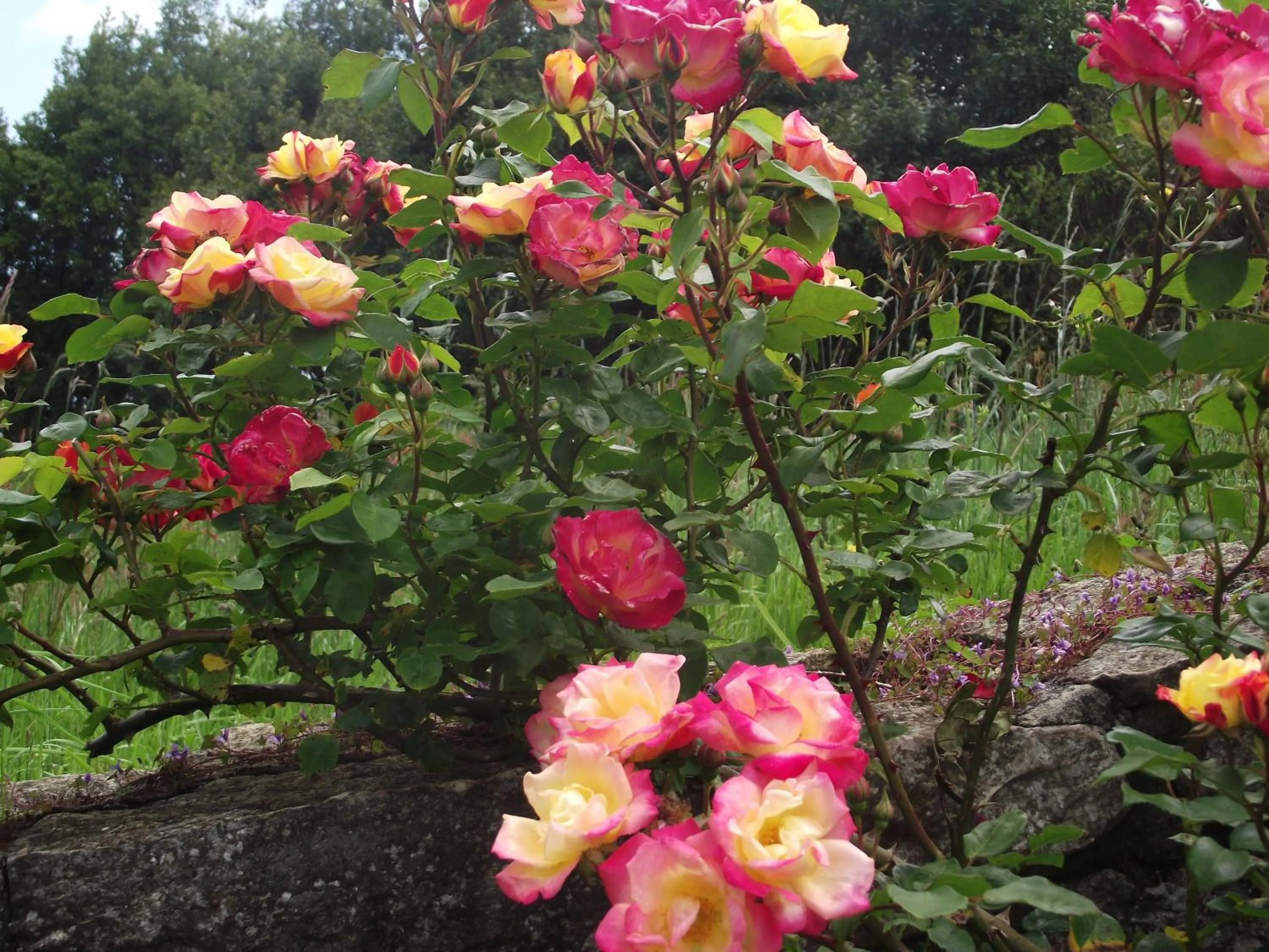 Day in Hotel Marfrei