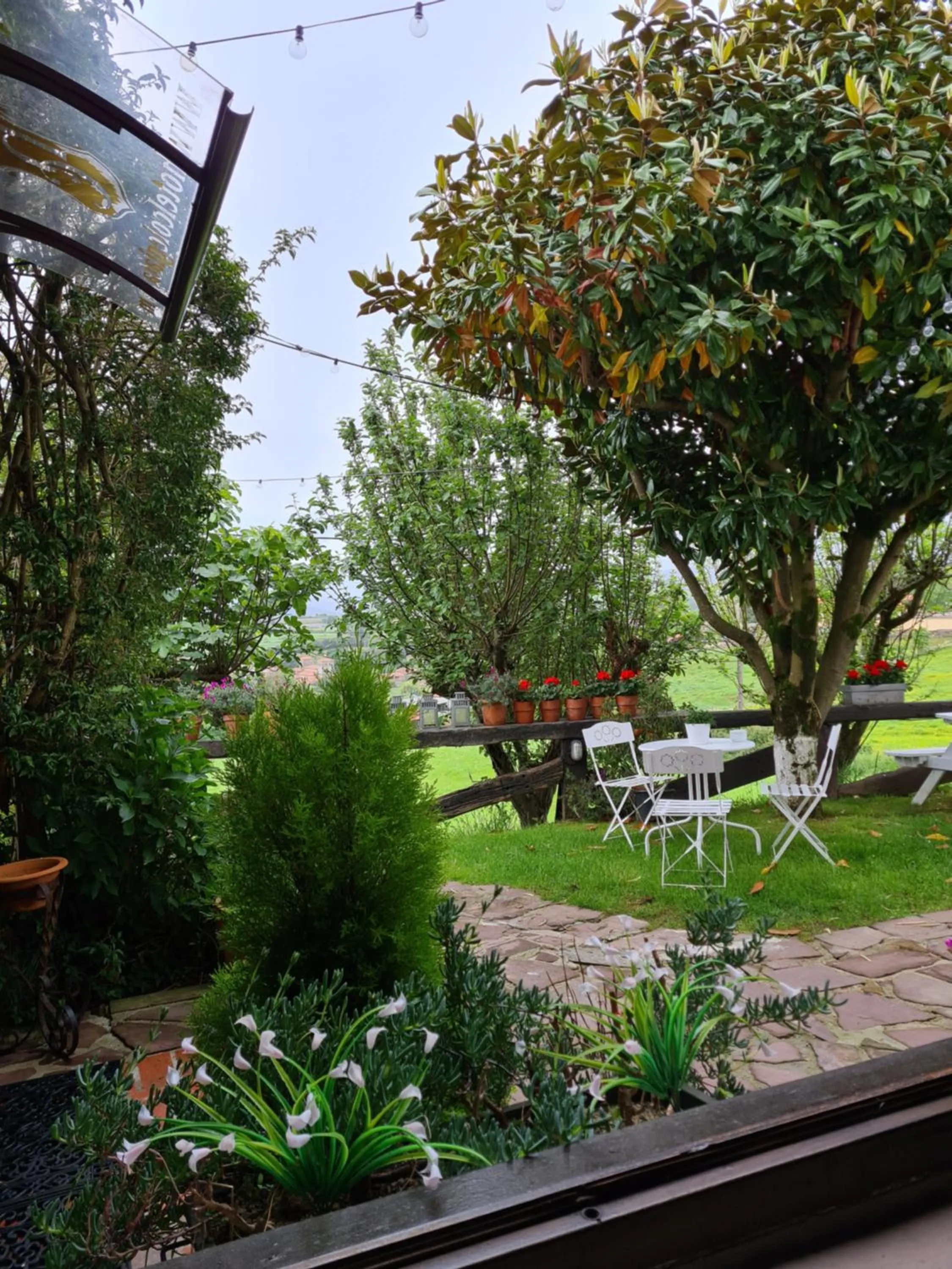 Garden view in Hotel Colegiata