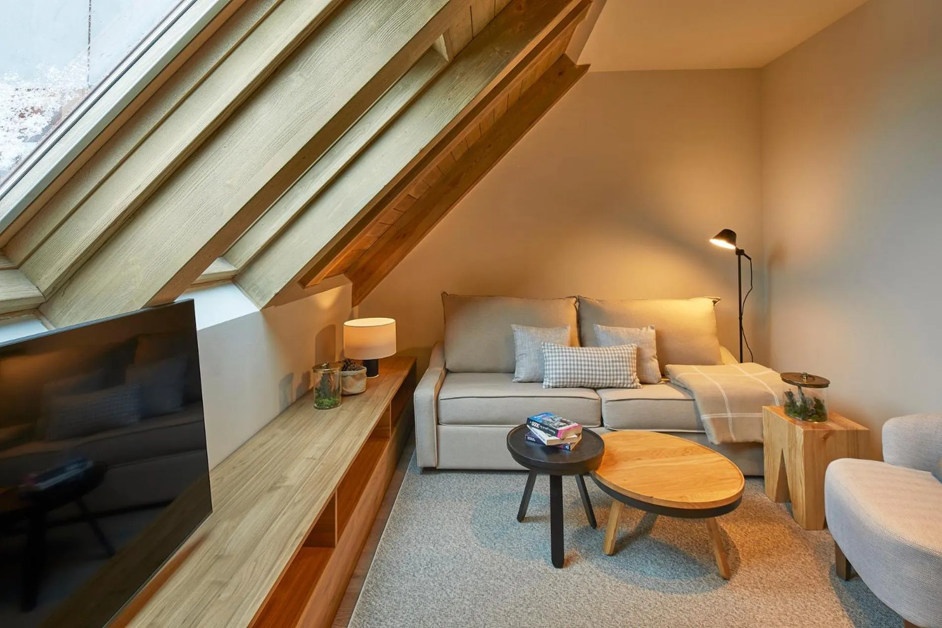 TV and multimedia in Hotel MIM Baqueira Luxury & SPA