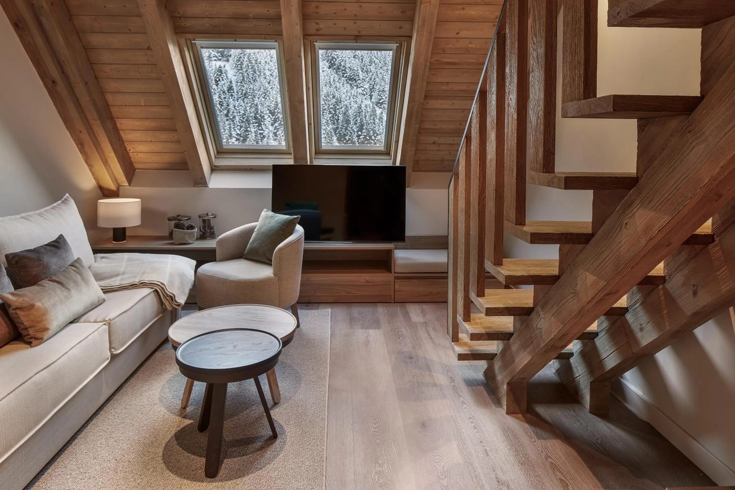 TV and multimedia in Hotel MIM Baqueira Luxury & SPA