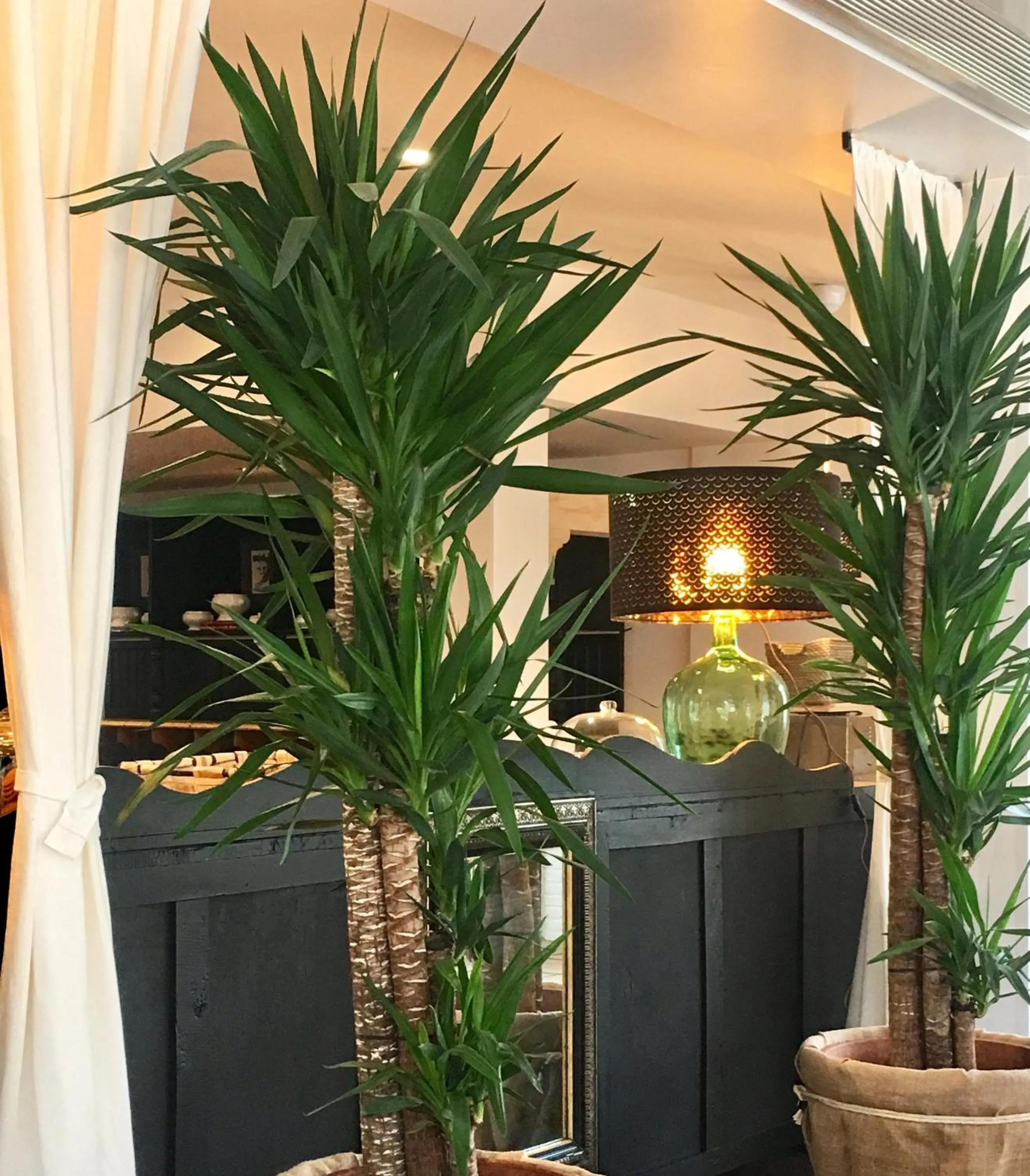 Area and facilities in Hotel Valdecoro