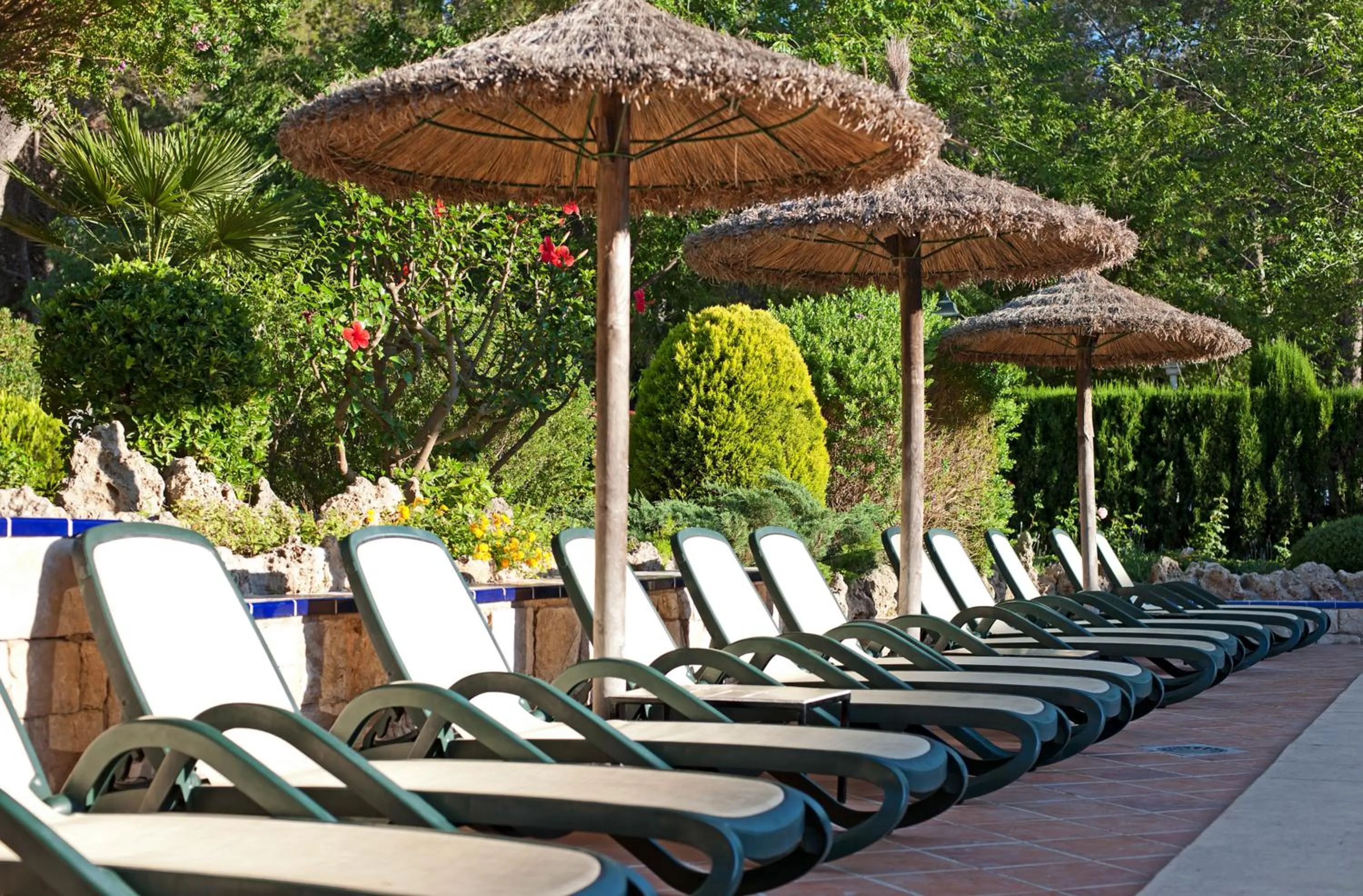 Balcony/Terrace in Hotel Bahia