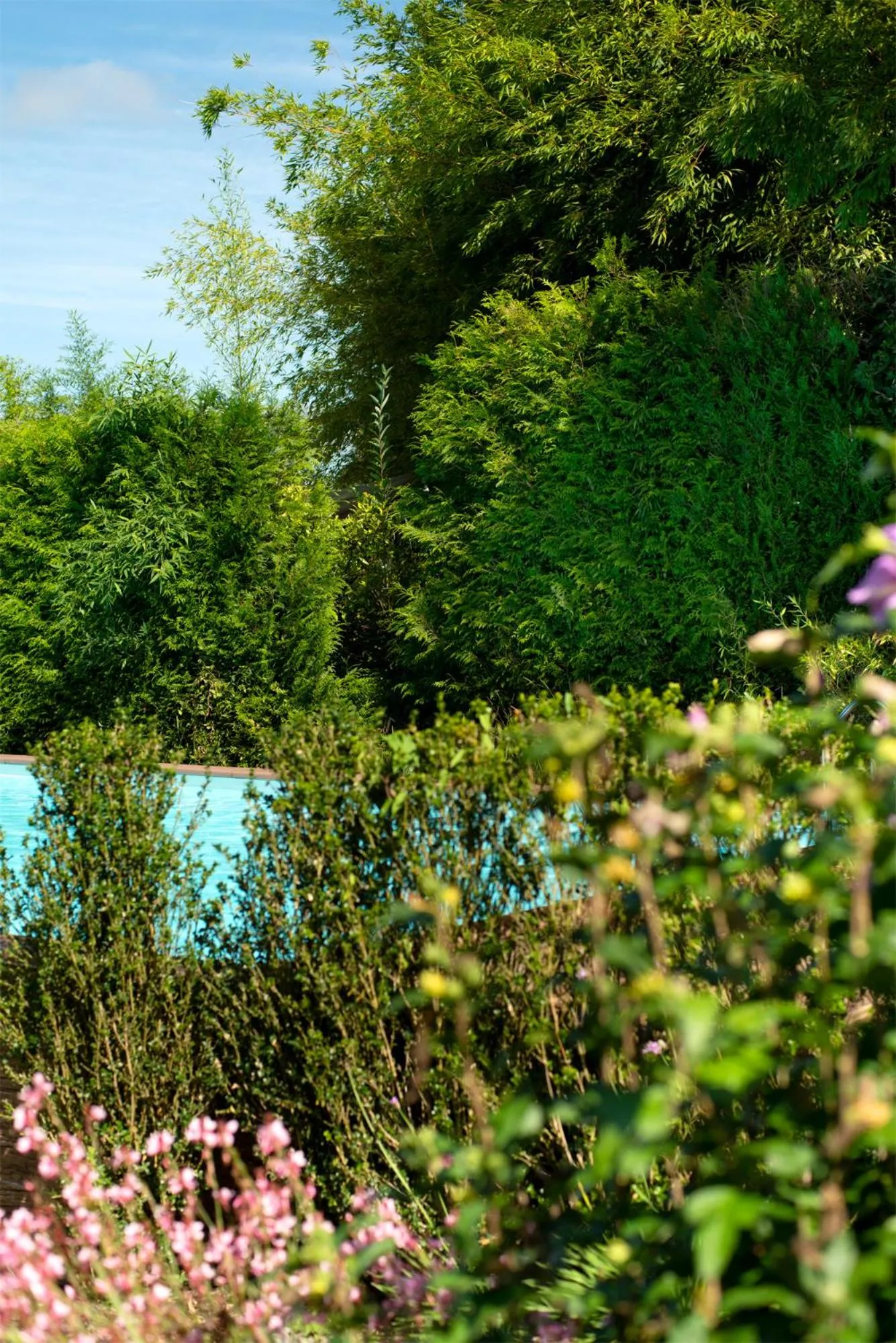 Swimming pool in A Quinta Da Auga Hotel Spa Relais & Chateaux