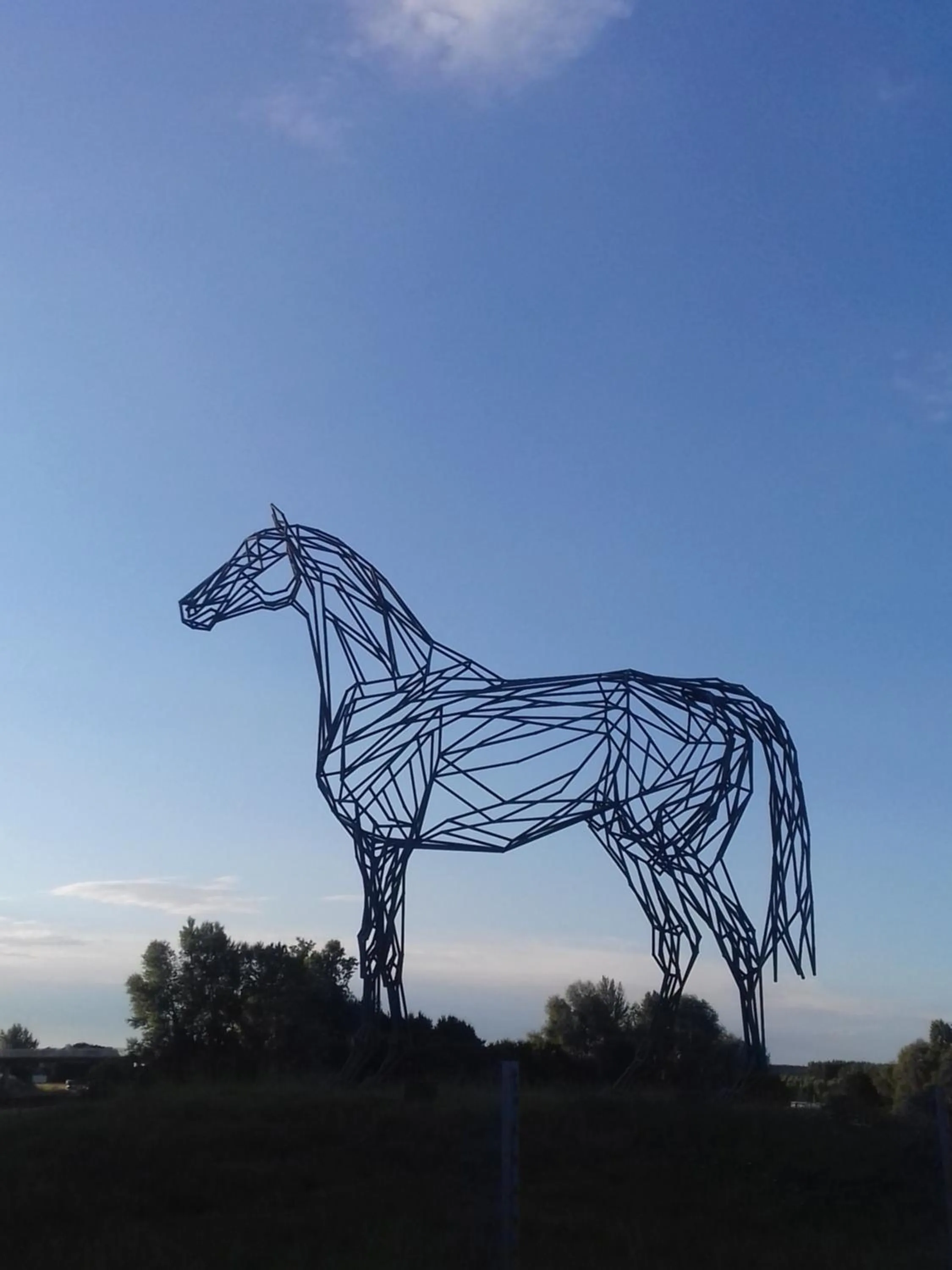 Activities in Saumur Loire Chambres et Gîte