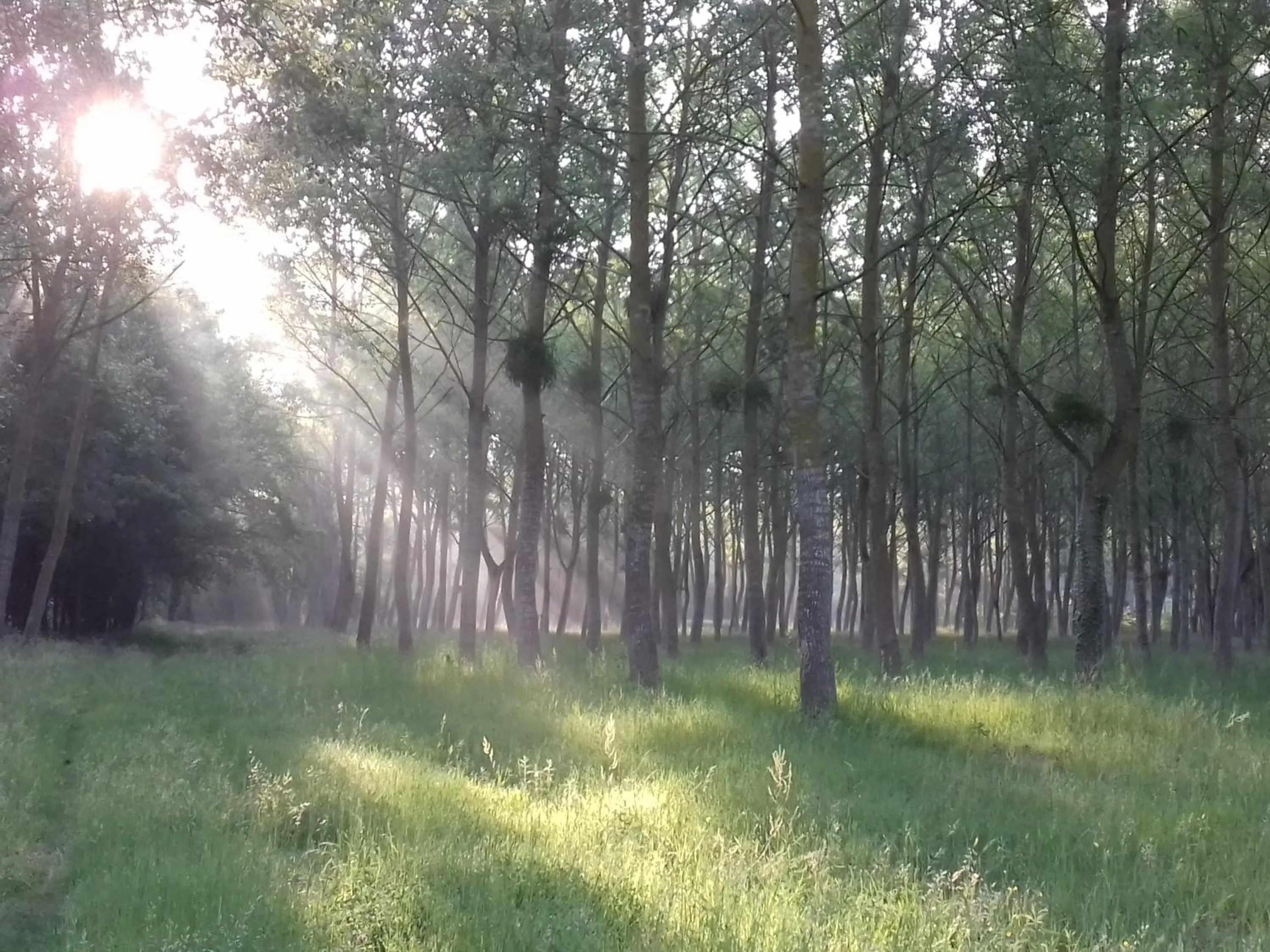 Other in Saumur Loire Chambres et Gîte