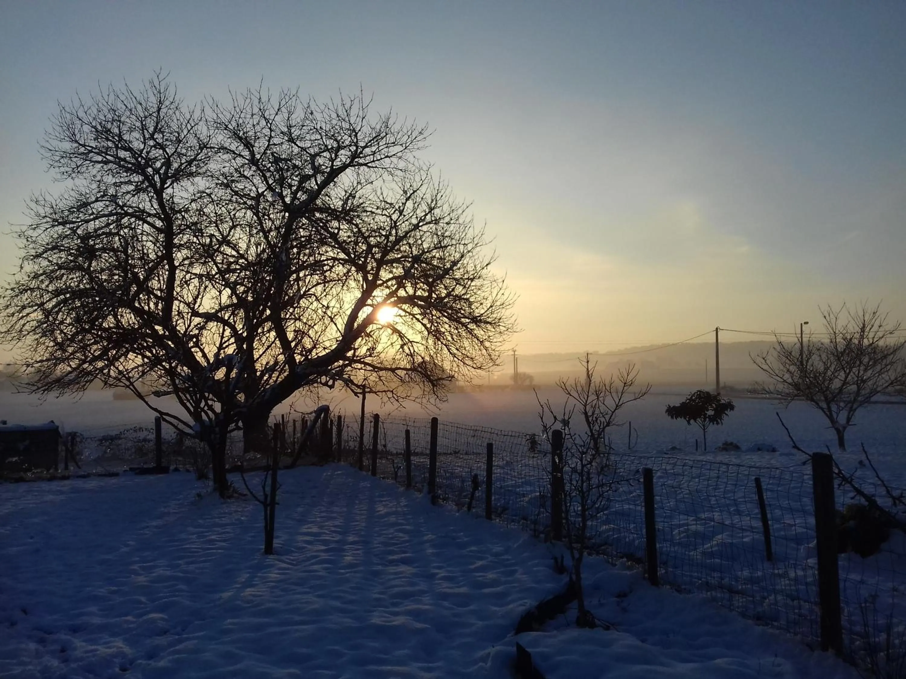 Other in Saumur Loire Chambres et Gîte