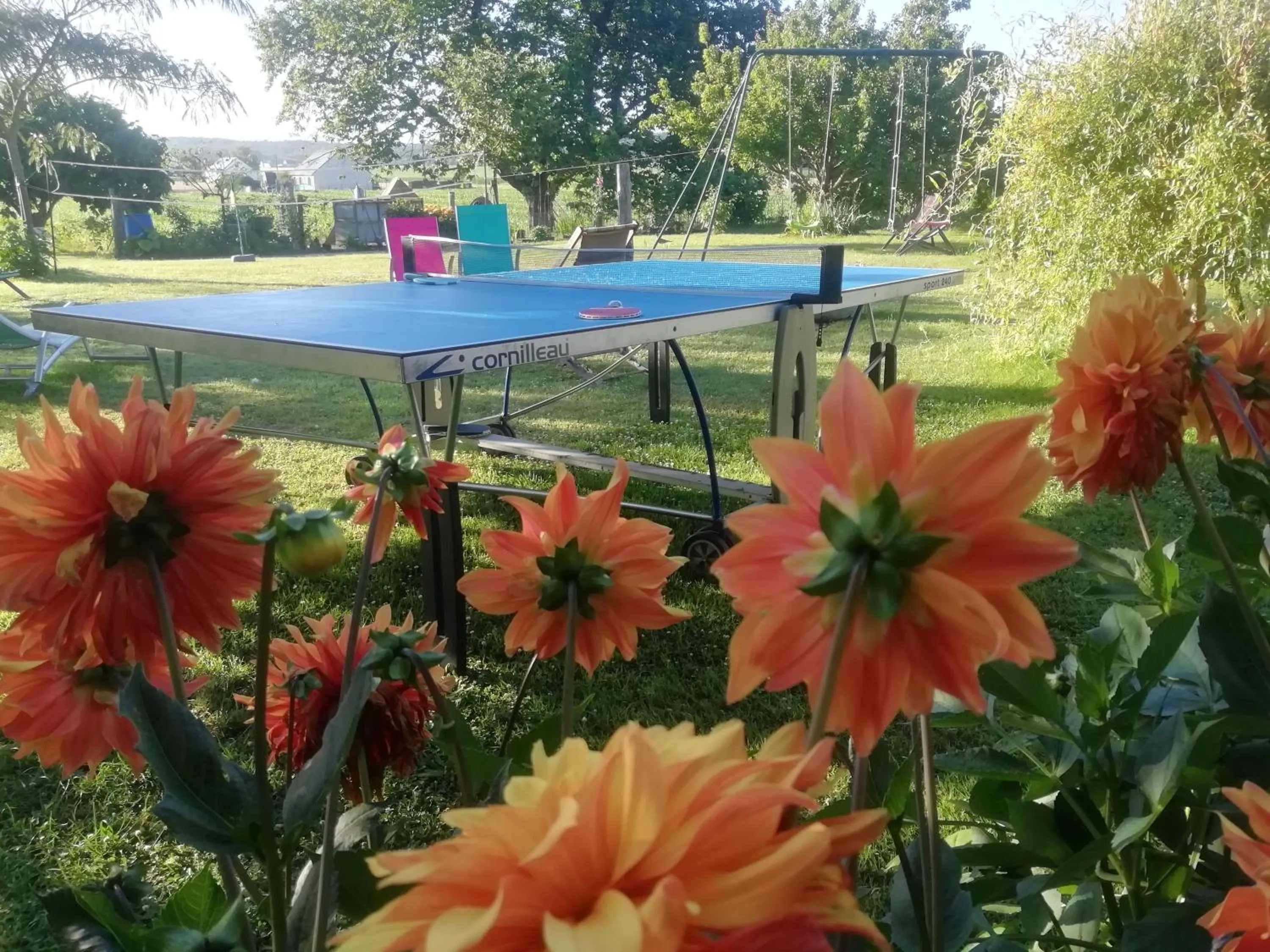 Garden in Saumur Loire Chambres et Gîte