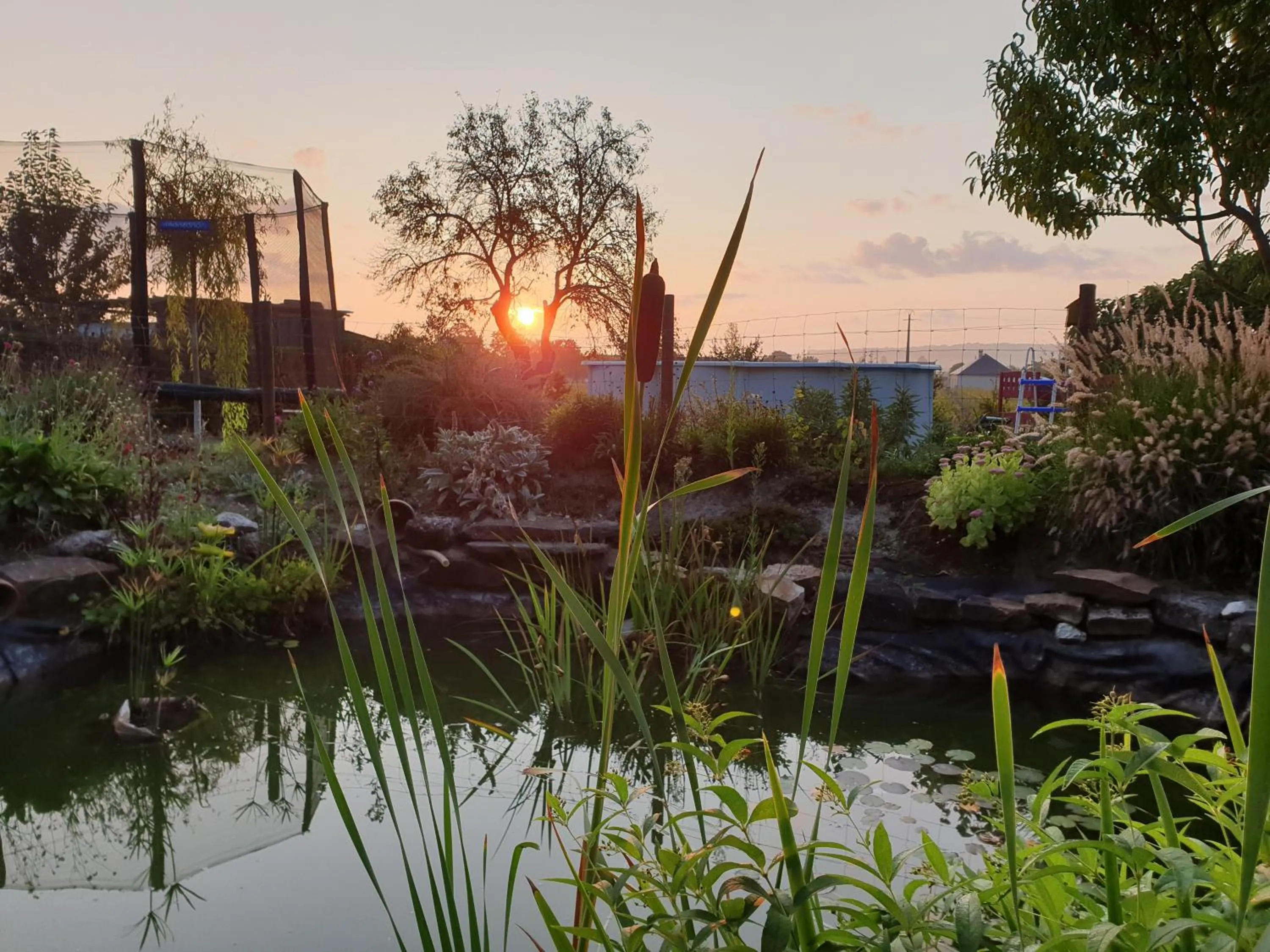 Natural landscape in Saumur Loire Chambres et Gîte