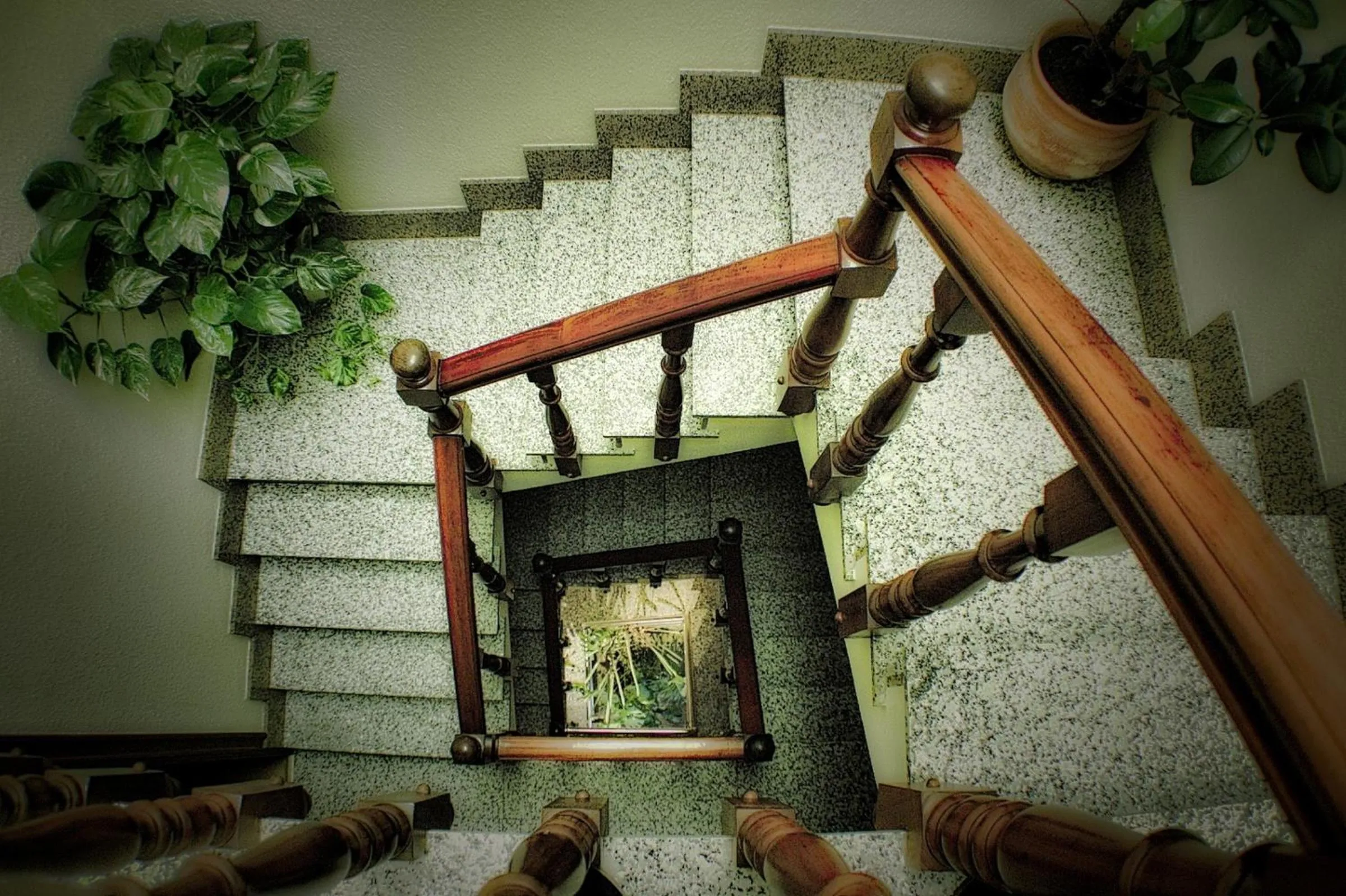 Other in Hotel Stellamaris