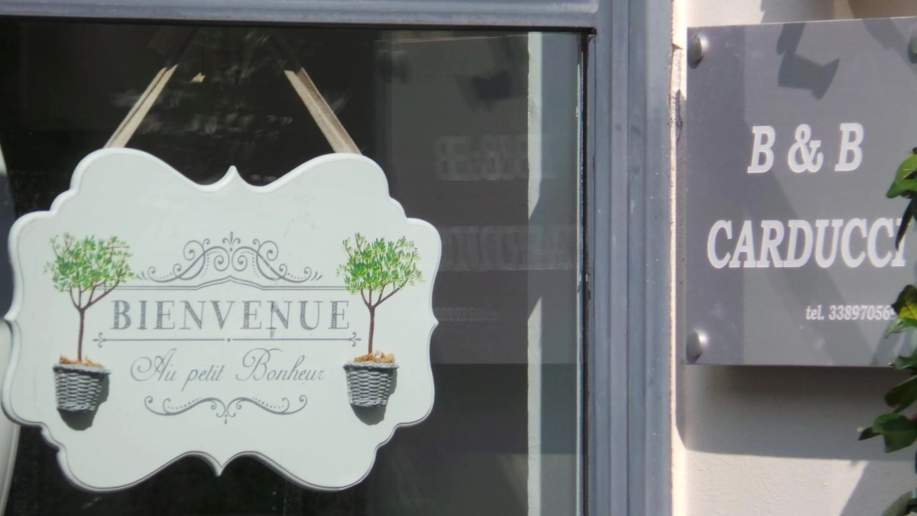 Property building in Carducci