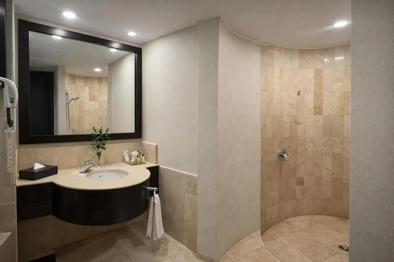 Bathroom in Hodelpa Nicolás de Ovando