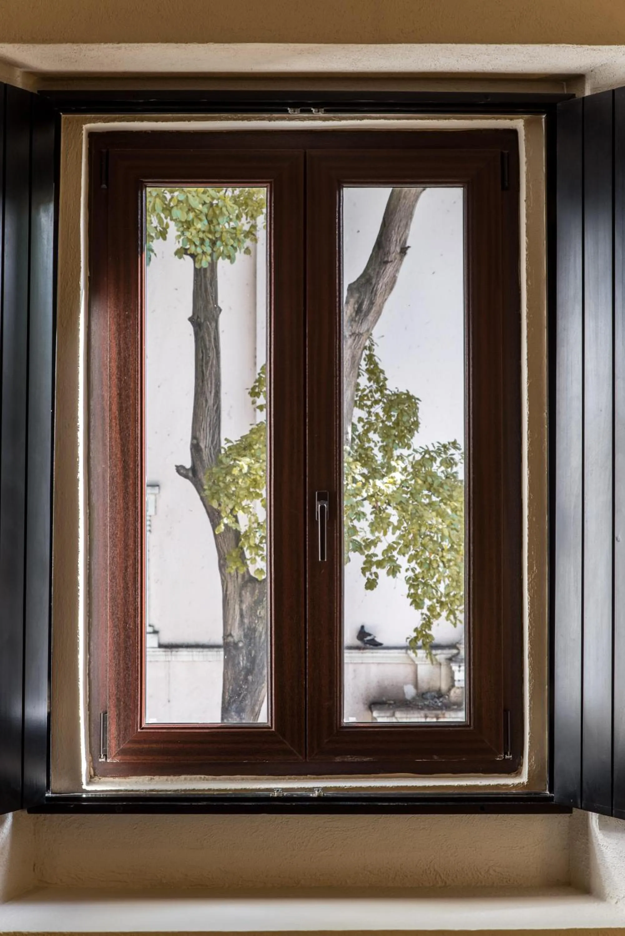 Photo of the whole room in Hodelpa Nicolás de Ovando