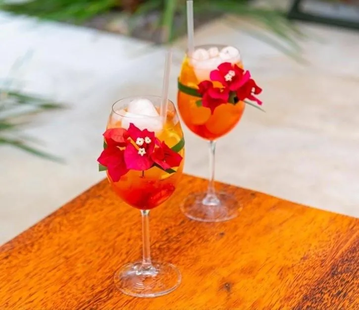 Day in Aldeia Beijupirá Pousada