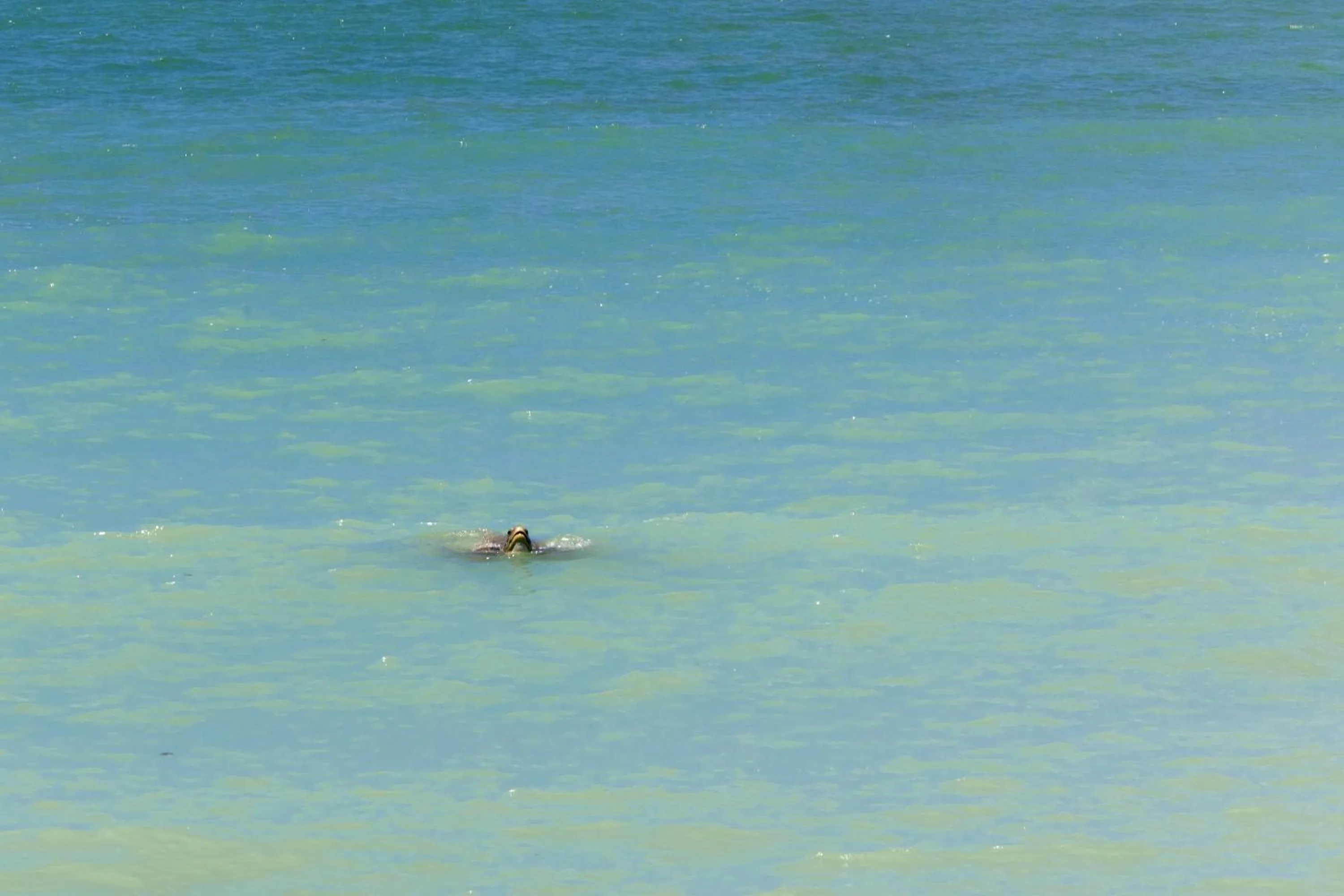 Beach in Aldeia Beijupirá Pousada
