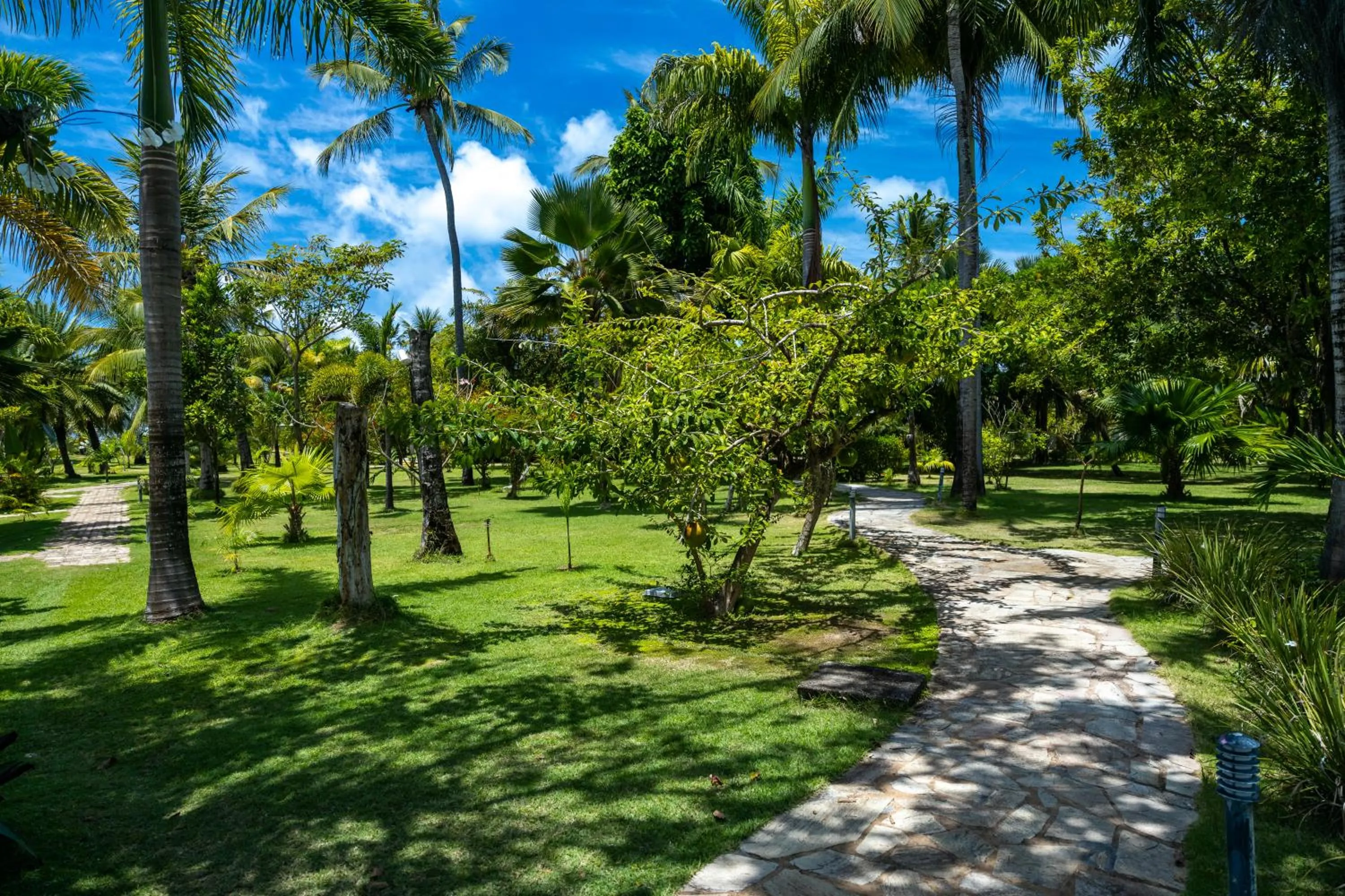 Garden in Aldeia Beijupirá Pousada