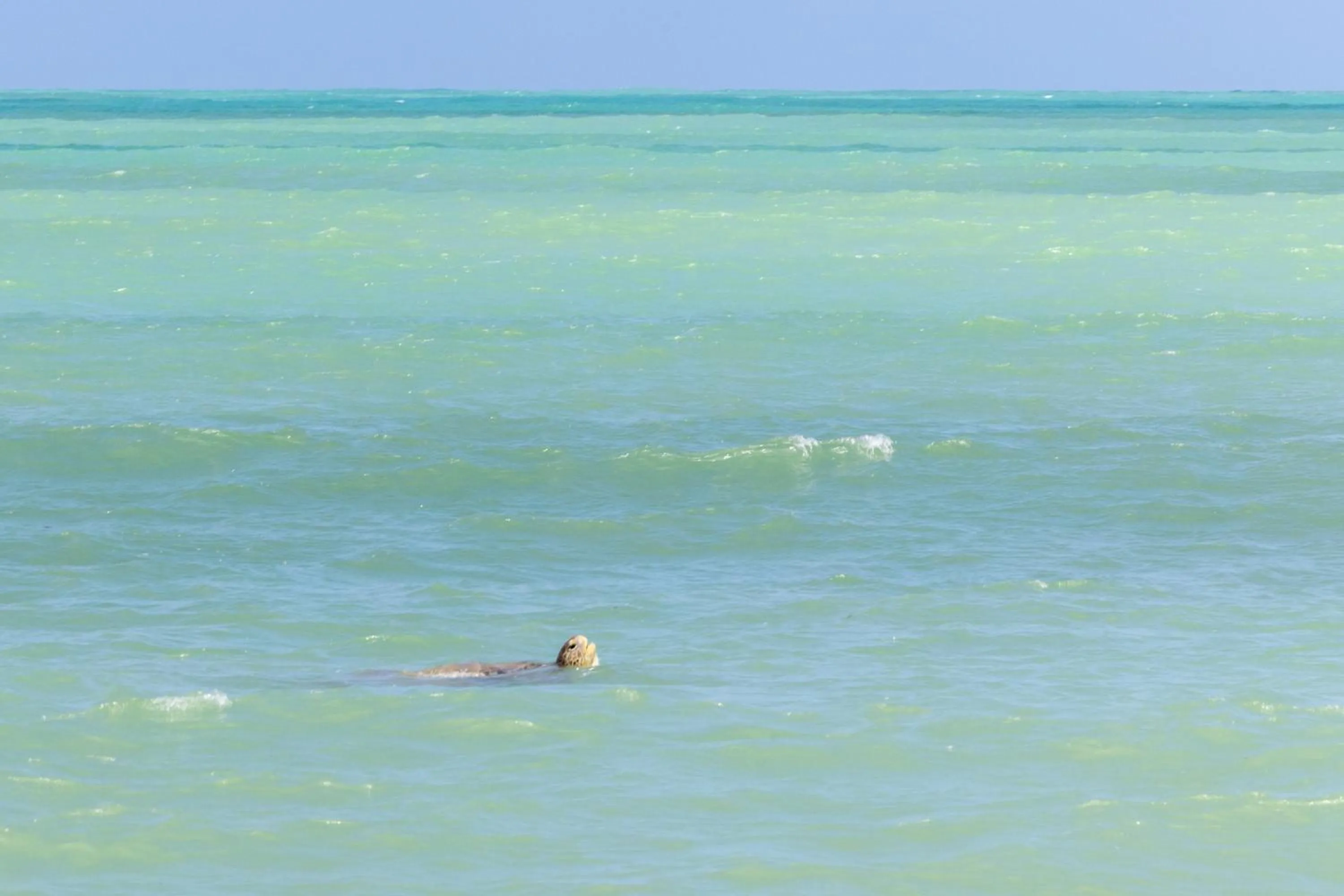 Beach in Aldeia Beijupirá Pousada