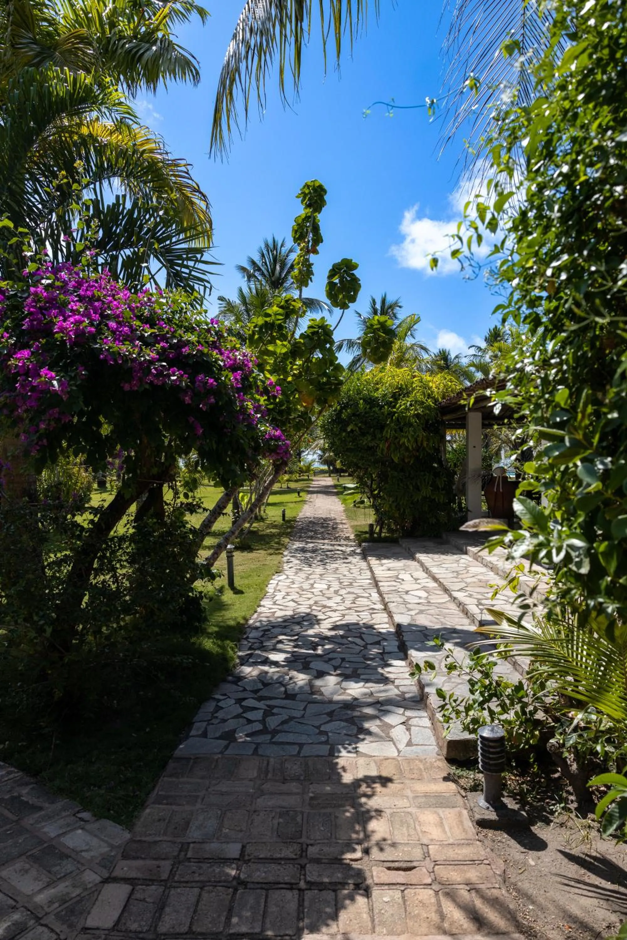 Garden in Aldeia Beijupirá Pousada