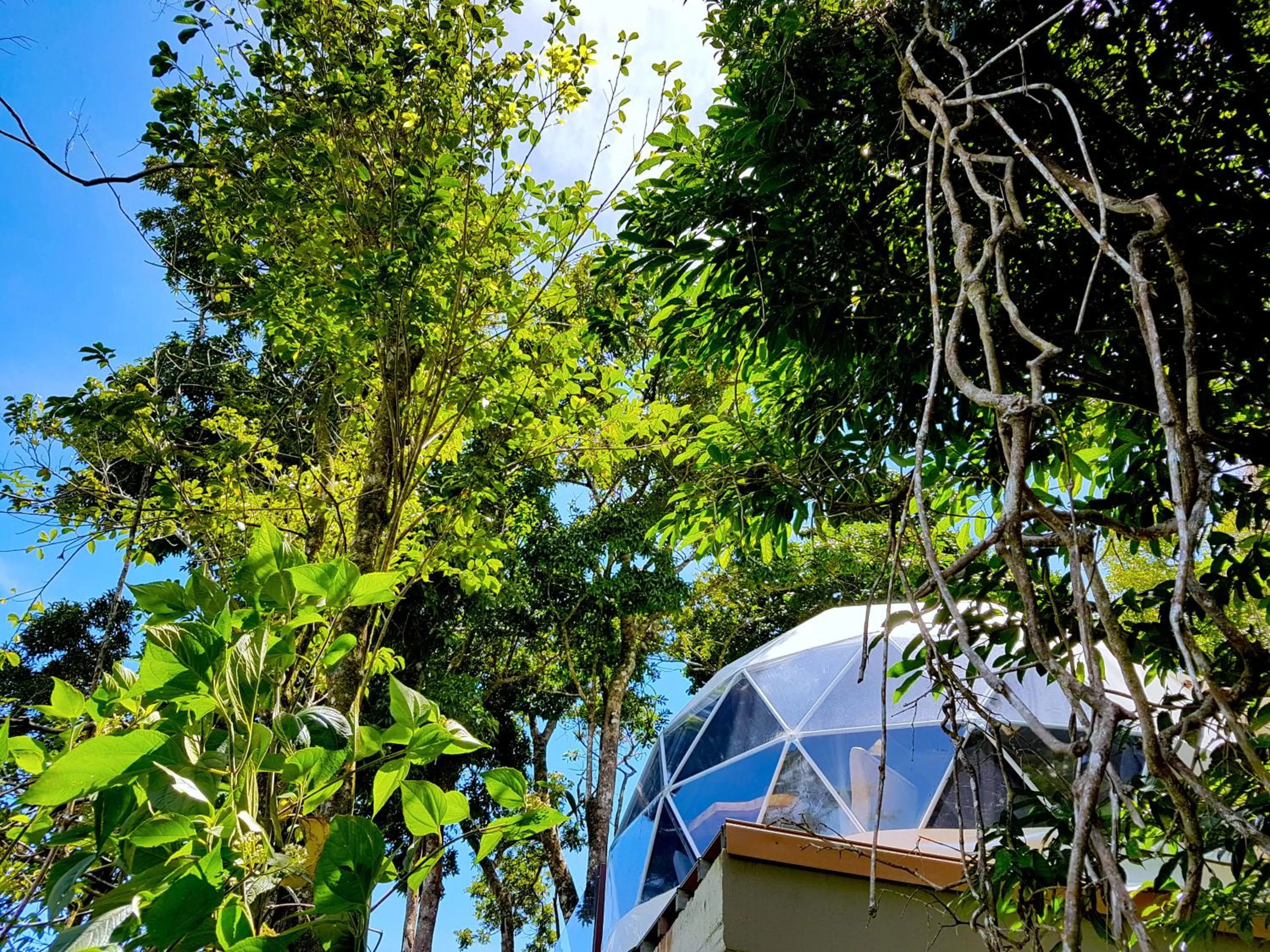 Chira Glamping Resort Monteverde