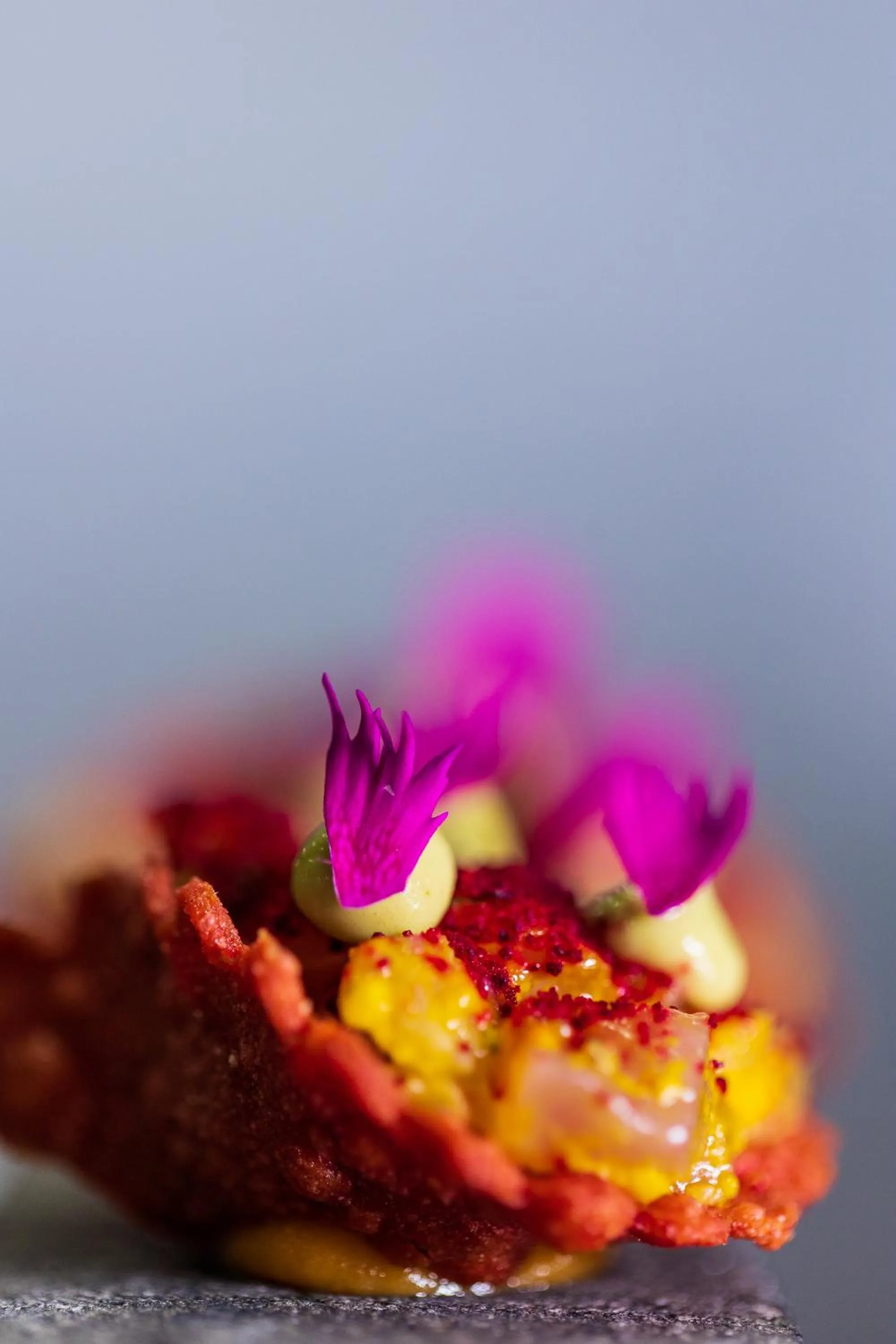 Chira Glamping Resort Monteverde