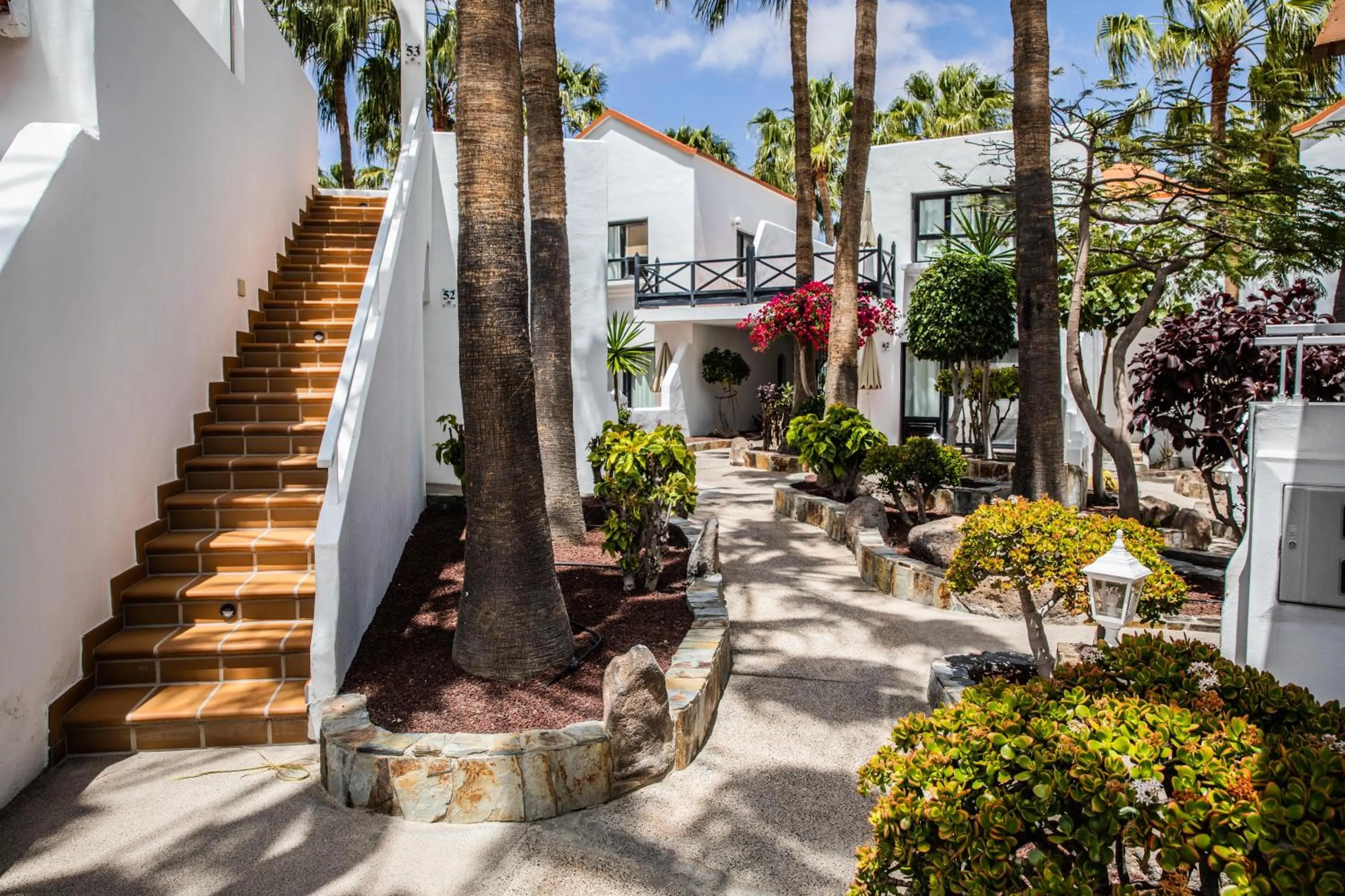 Garden in Bahia Calma Beach