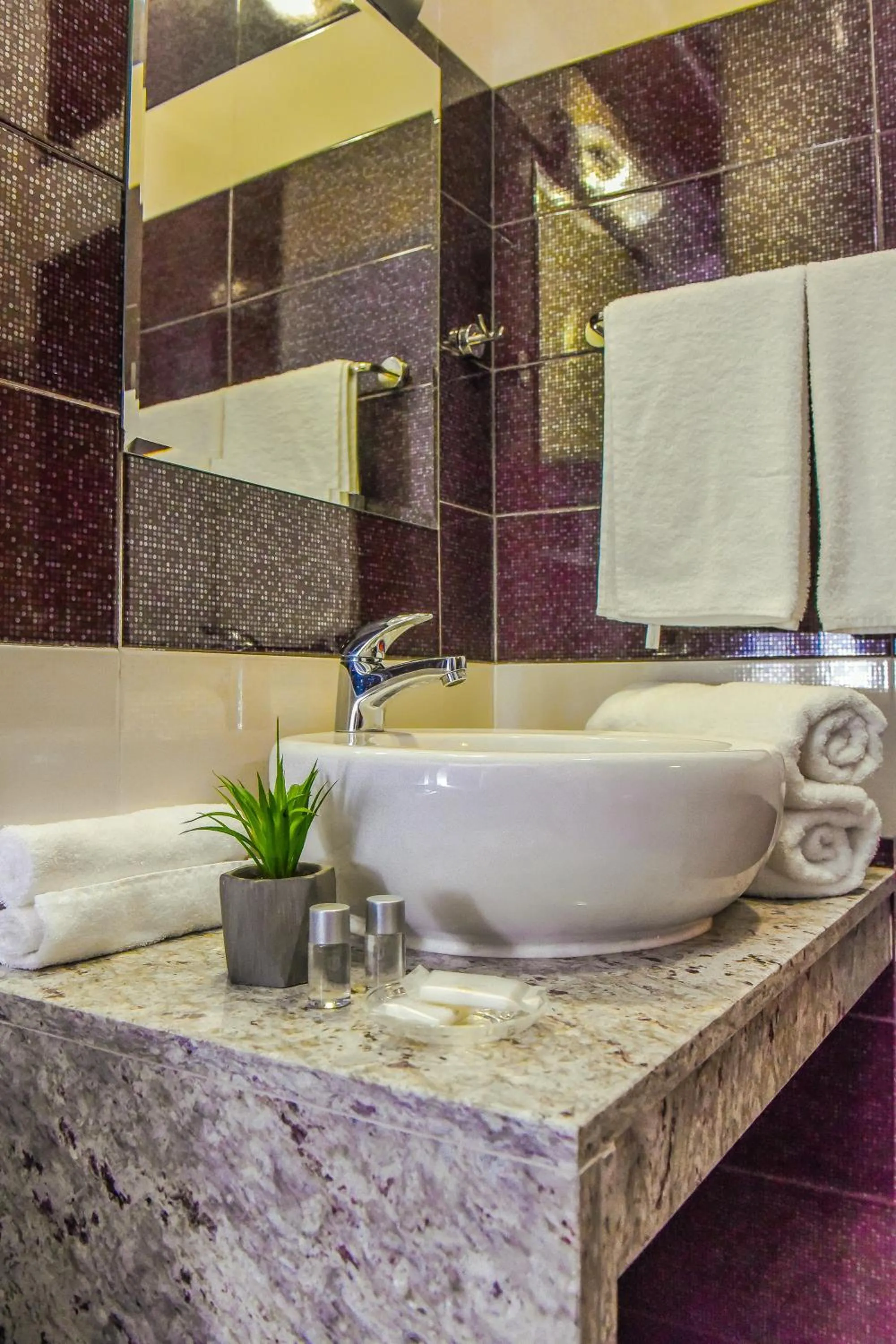 Shower in Central Guest Rooms