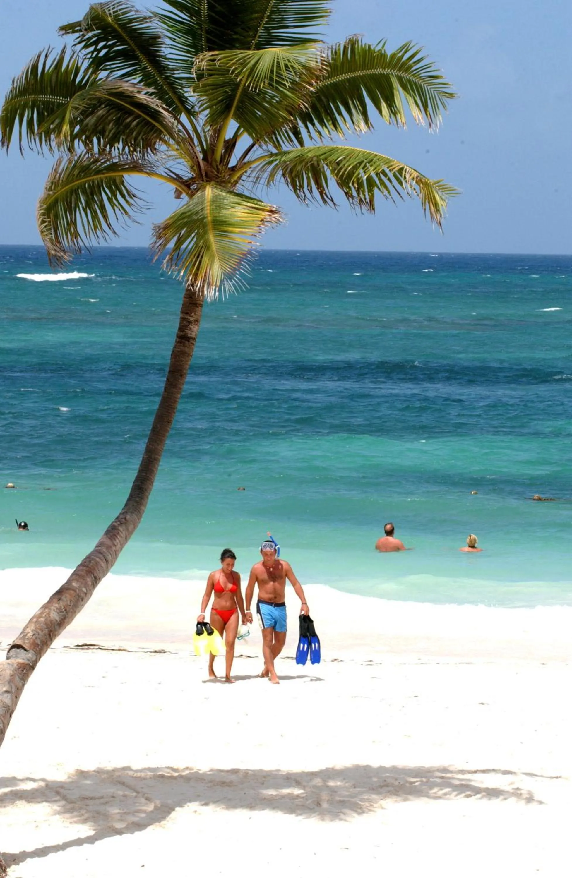 Beach in VIK Hotel Cayena Beach All Inclusive