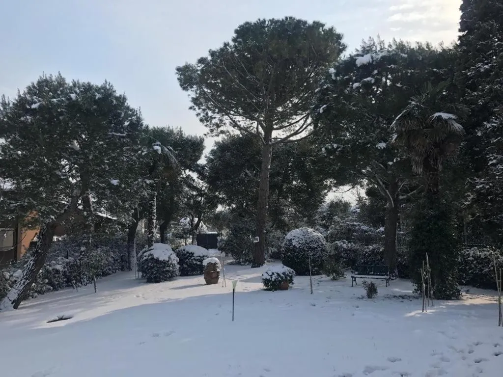 IlPoggetto Bed&Breakfast