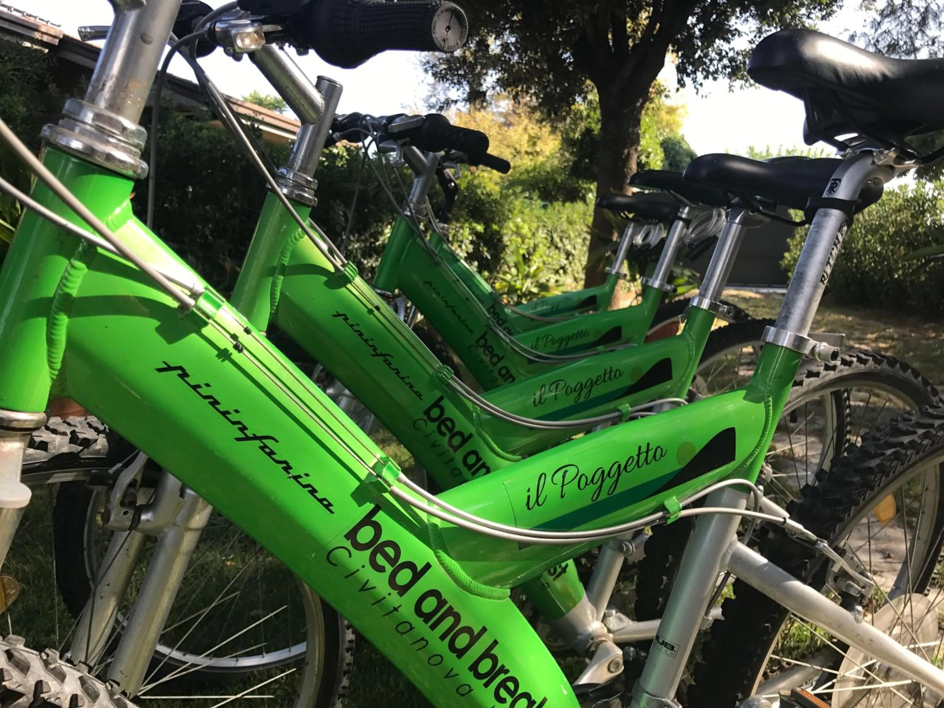 Cycling in IlPoggetto Bed&Breakfast