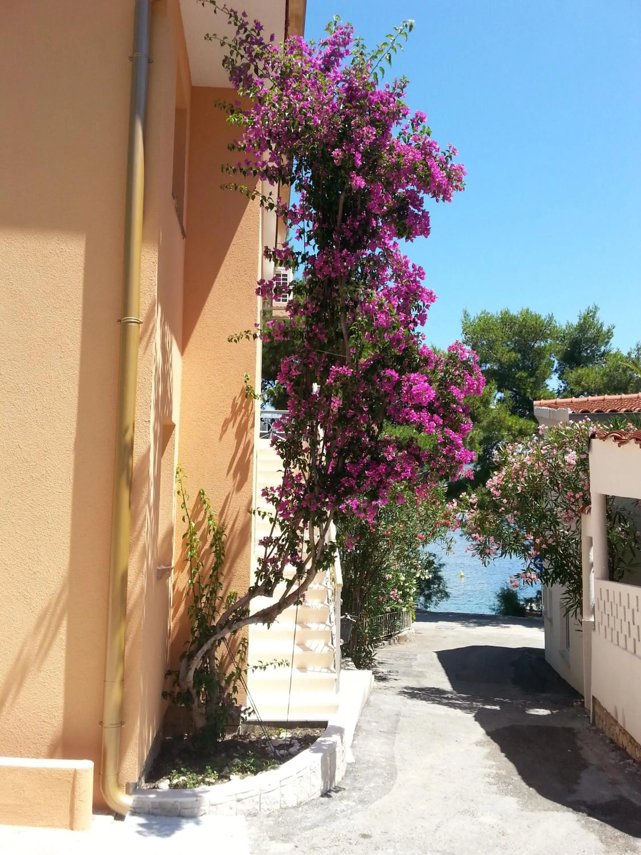 Holiday Home Milenka