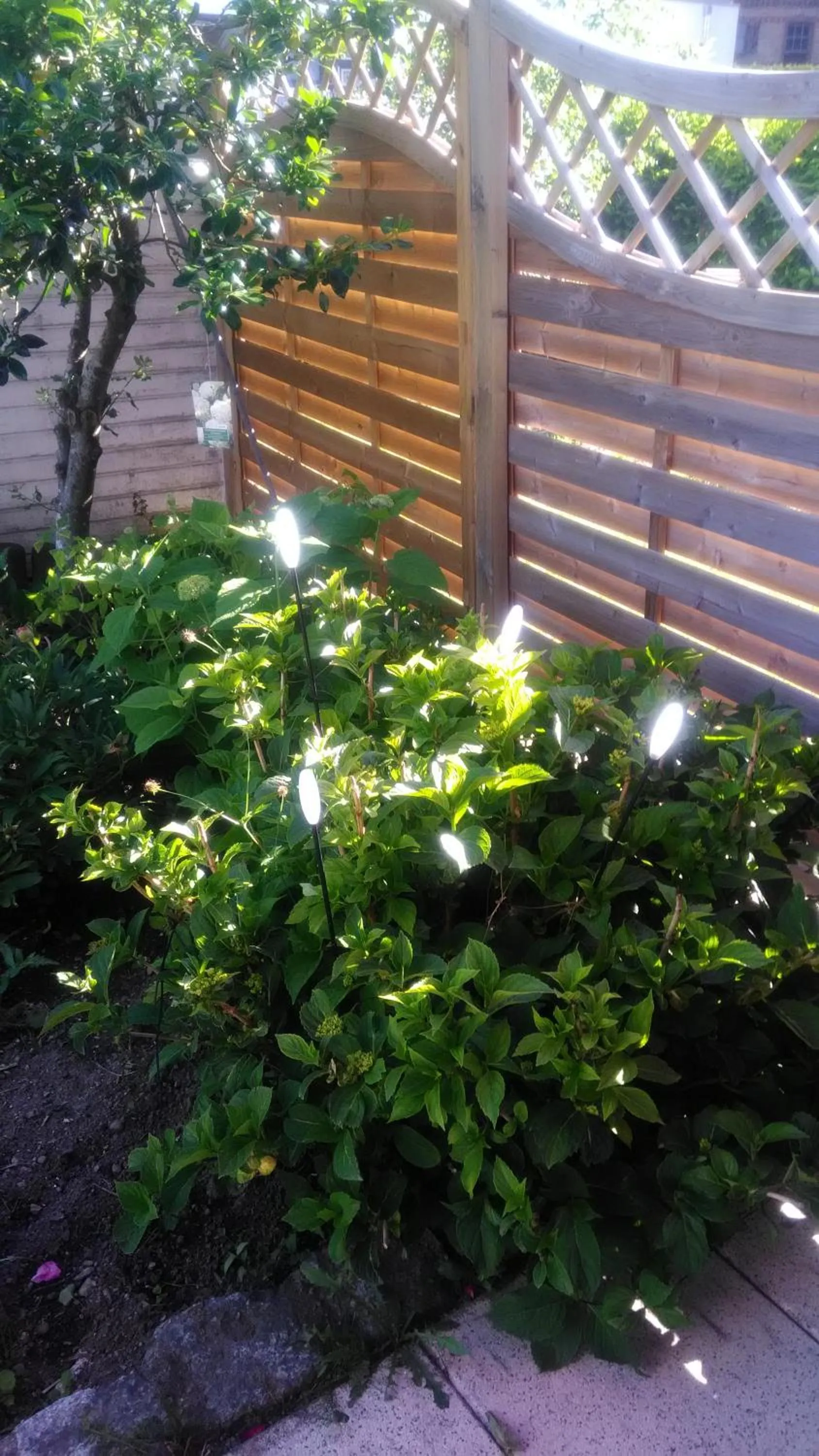 Day in Ferienwohnung Luisa