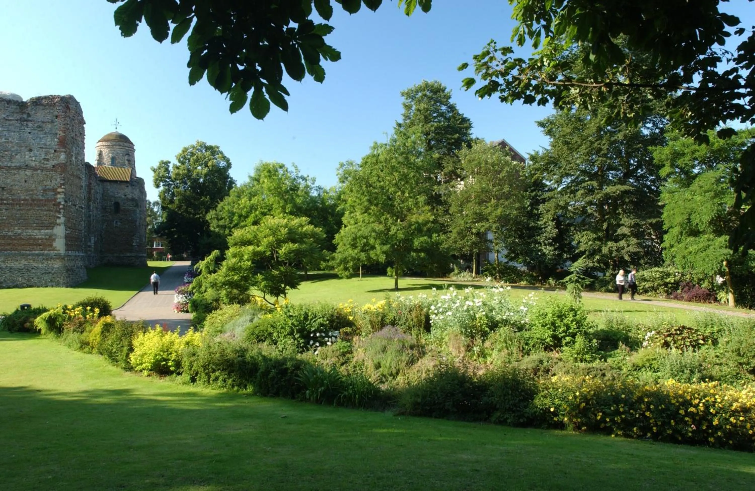 Natural landscape in University of Essex - Colchester Campus