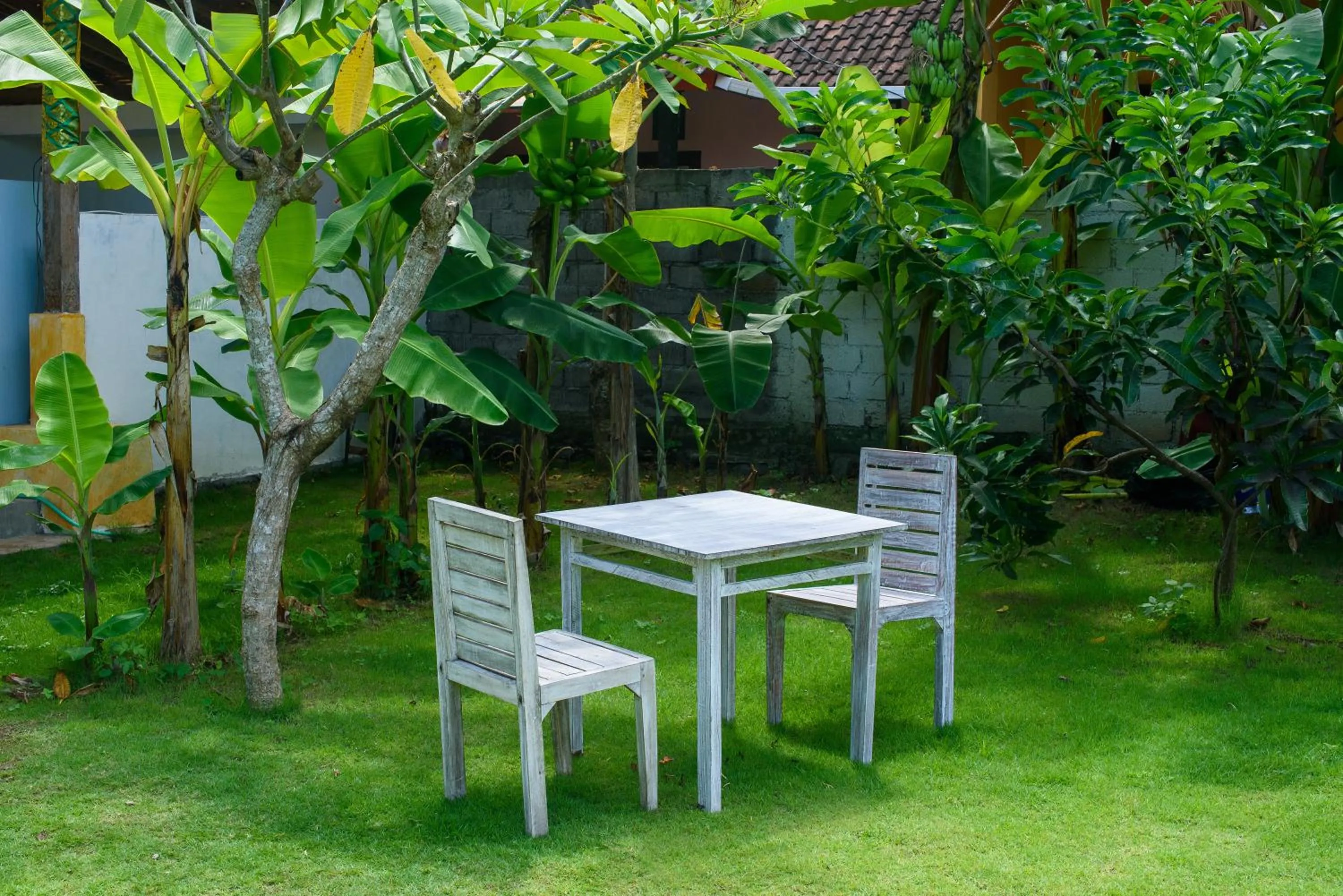 Garden in Asung Guesthouse