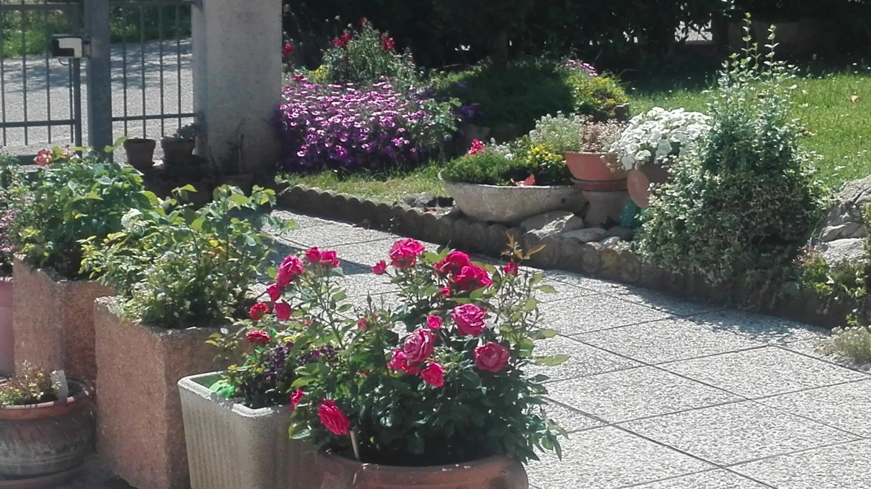 Garden in B&B RIPALTA