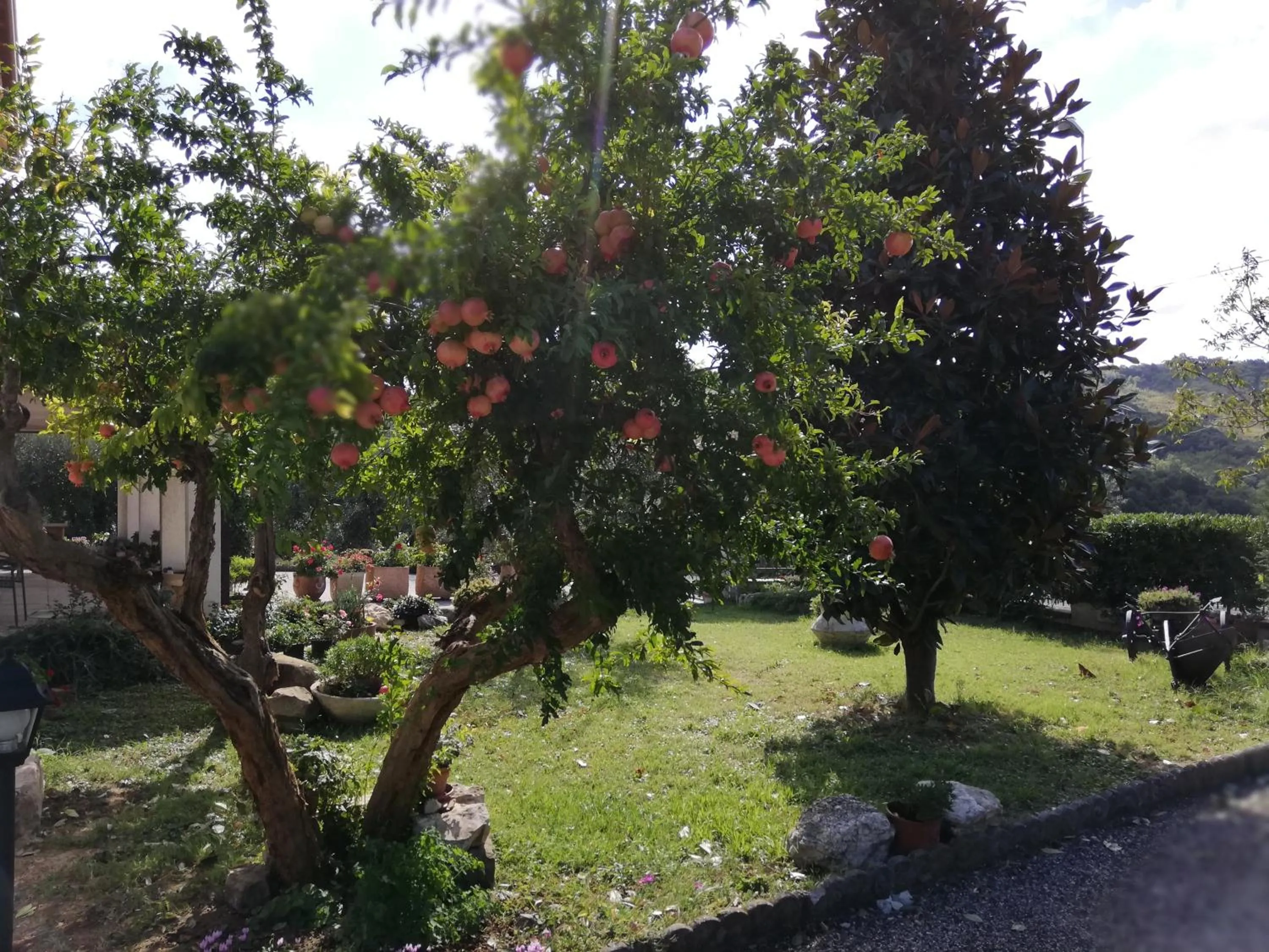 Autumn in B&B RIPALTA