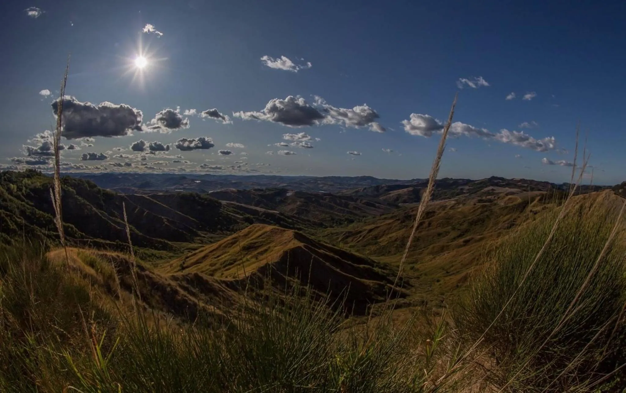 Natural landscape in B&B RIPALTA