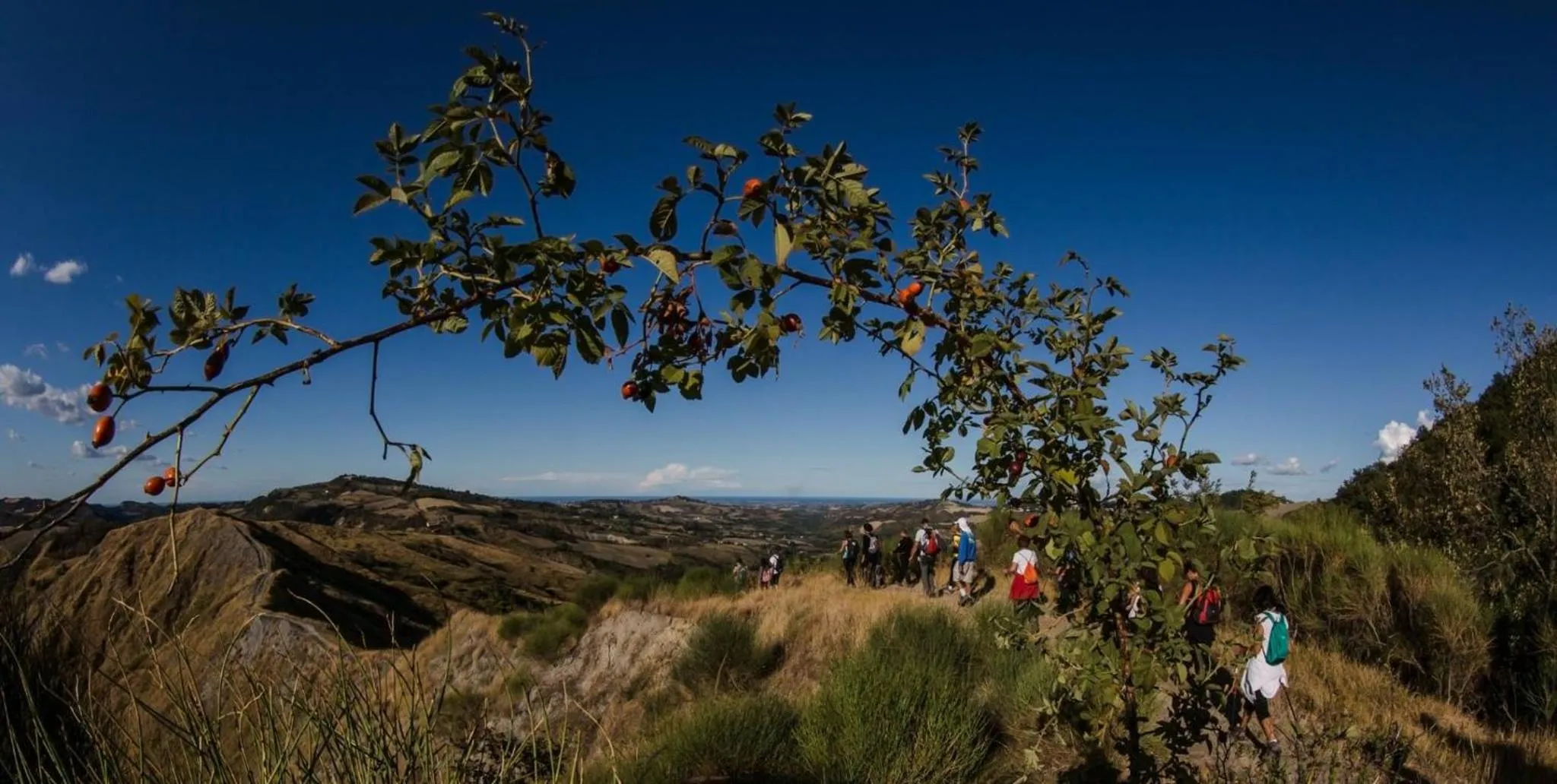 Natural landscape in B&B RIPALTA