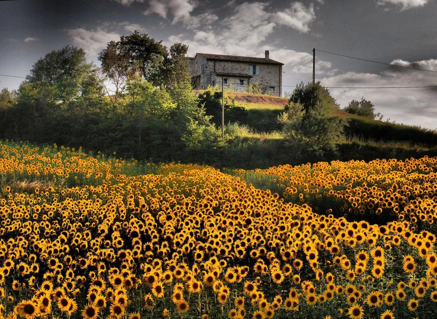 Natural landscape in B&B RIPALTA