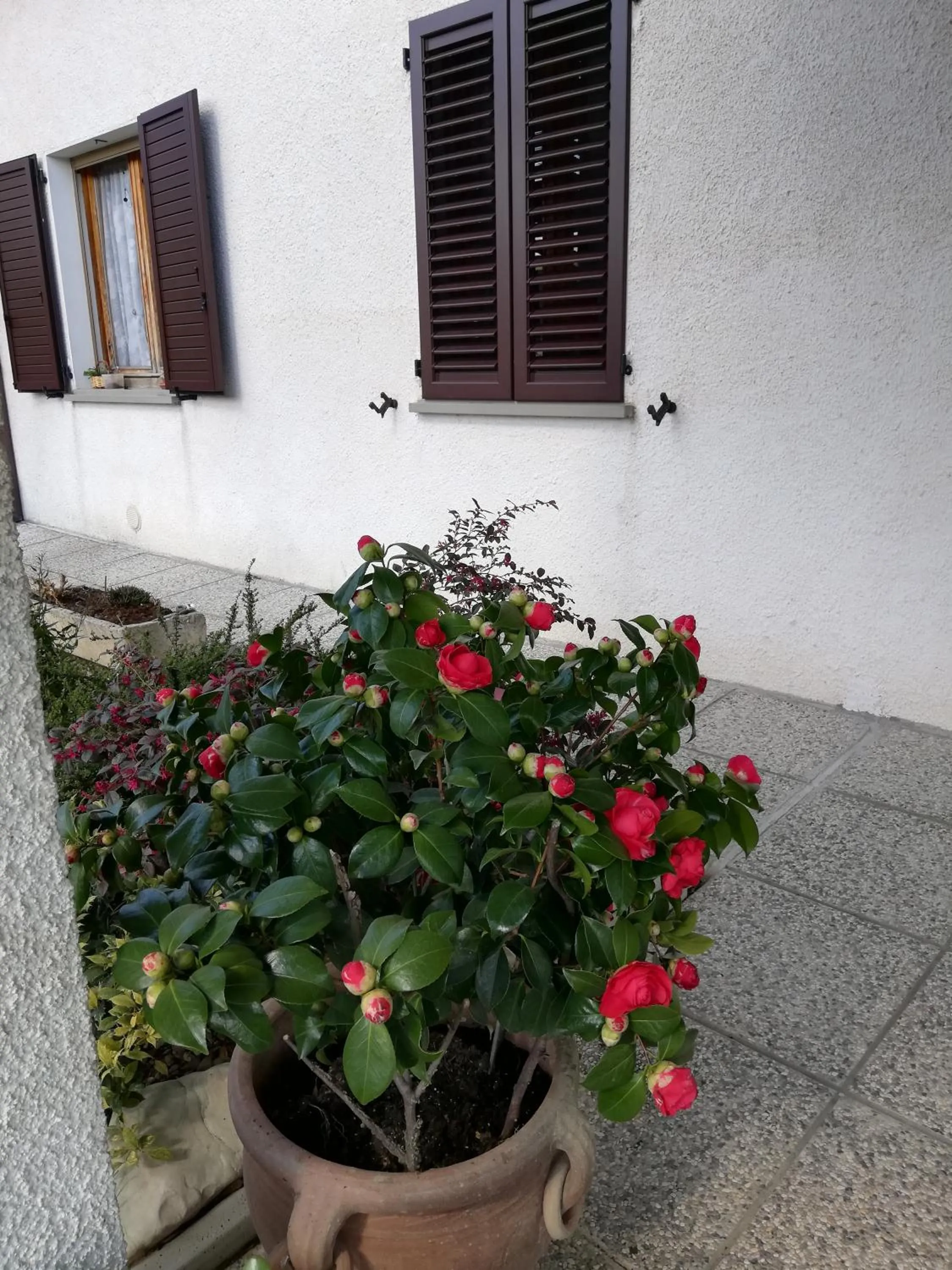 Garden in B&B RIPALTA