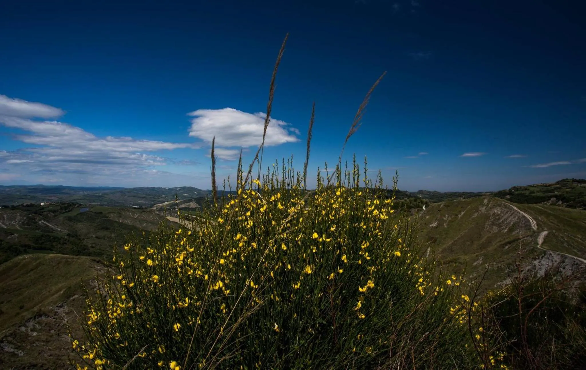 Natural landscape in B&B RIPALTA