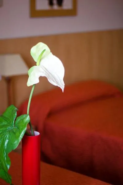 Photo of the whole room, Bed in Hotel Las Terrazas
