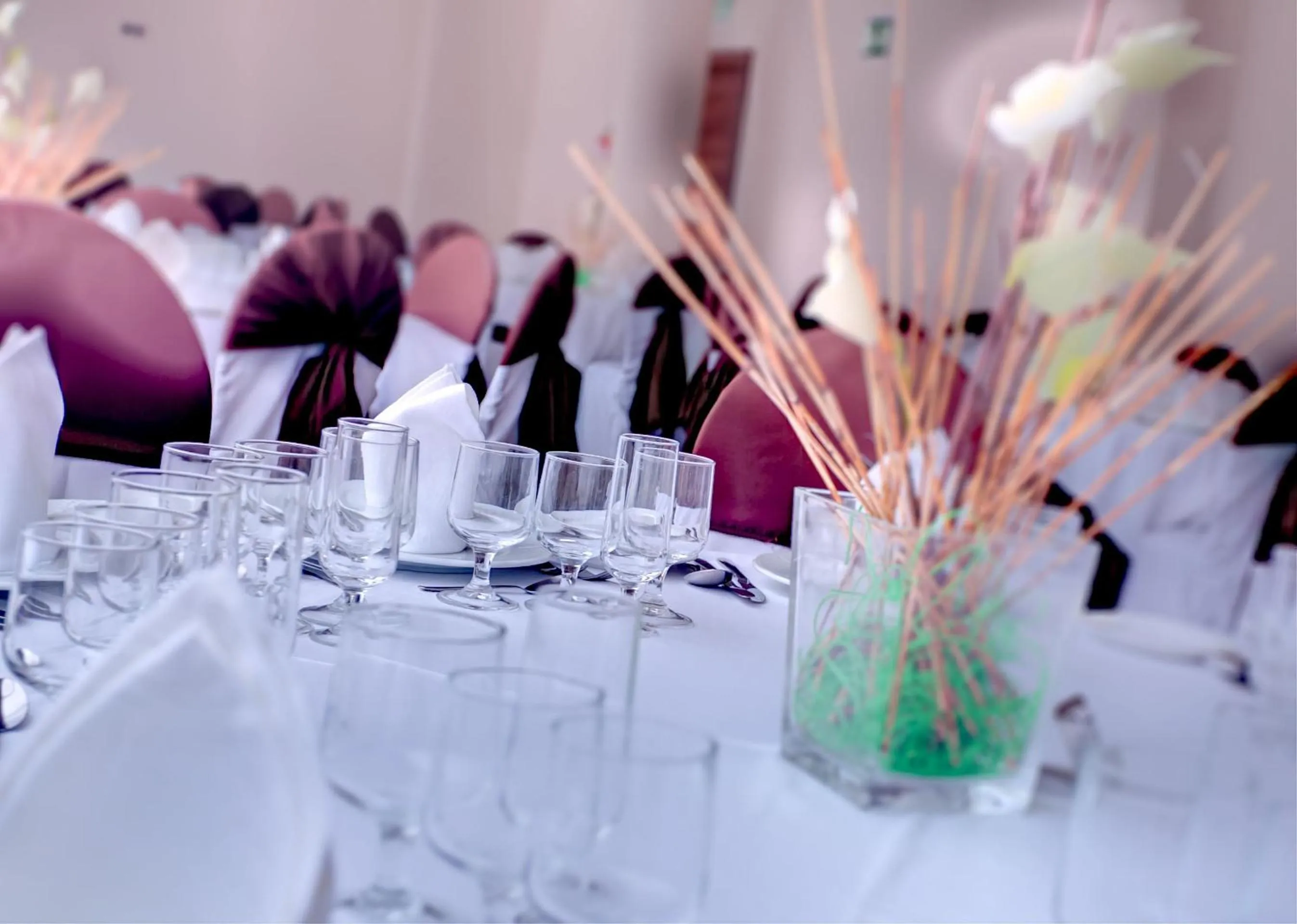 Banquet/Function facilities in Hotel Las Terrazas