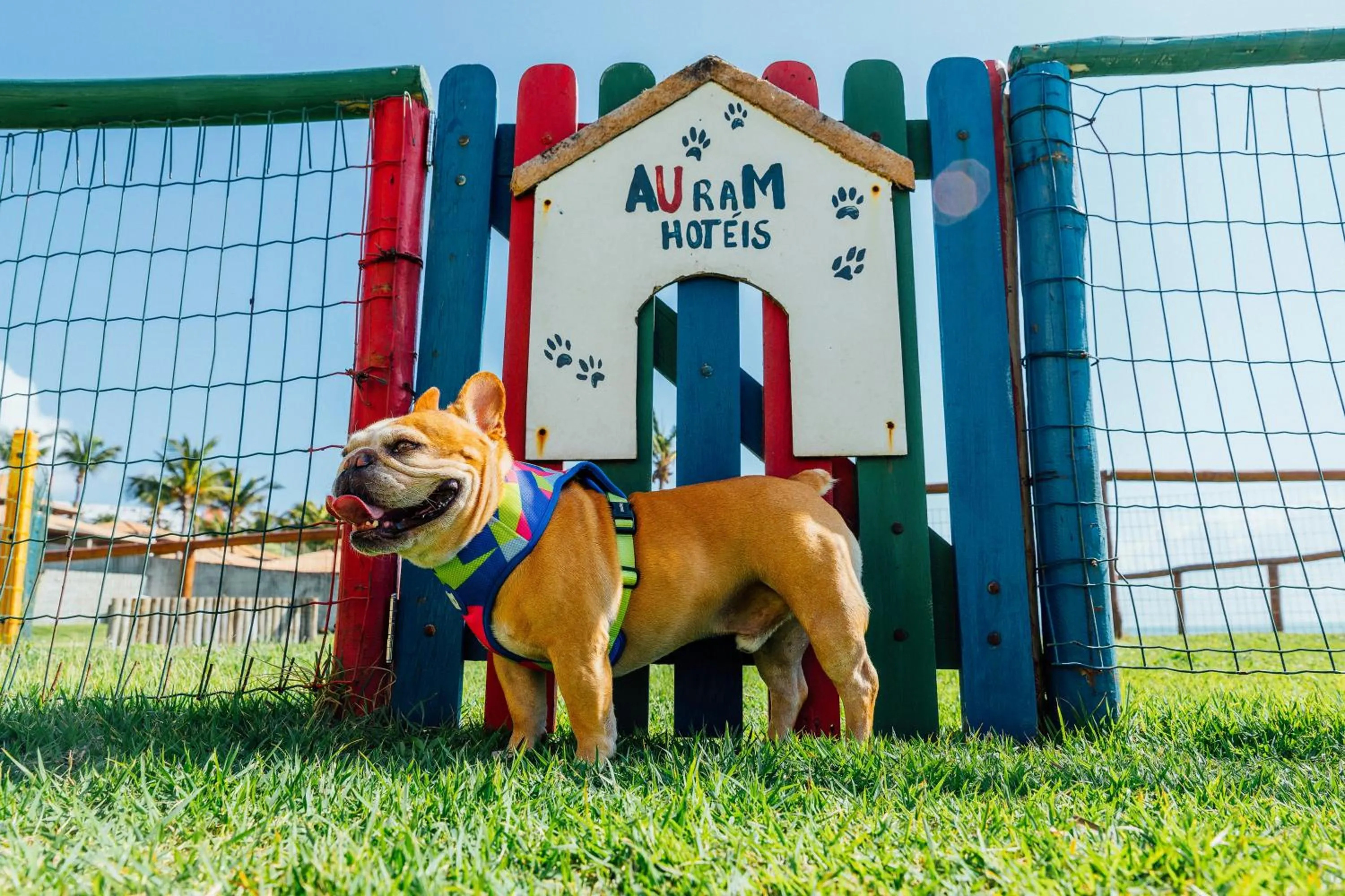 pet friendly in El Aram Natal Mar