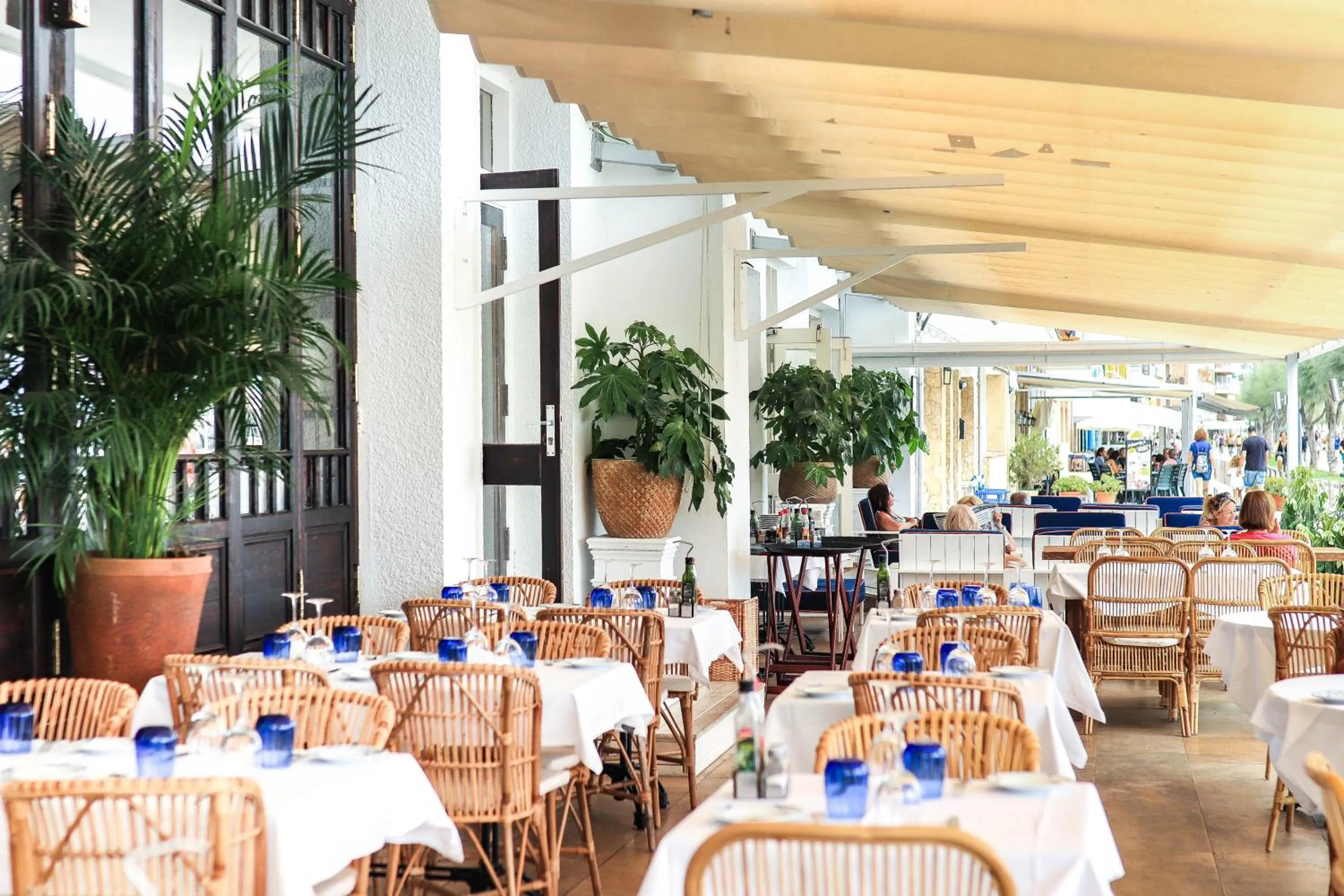 Restaurant/places to eat in Hotel Rosamar