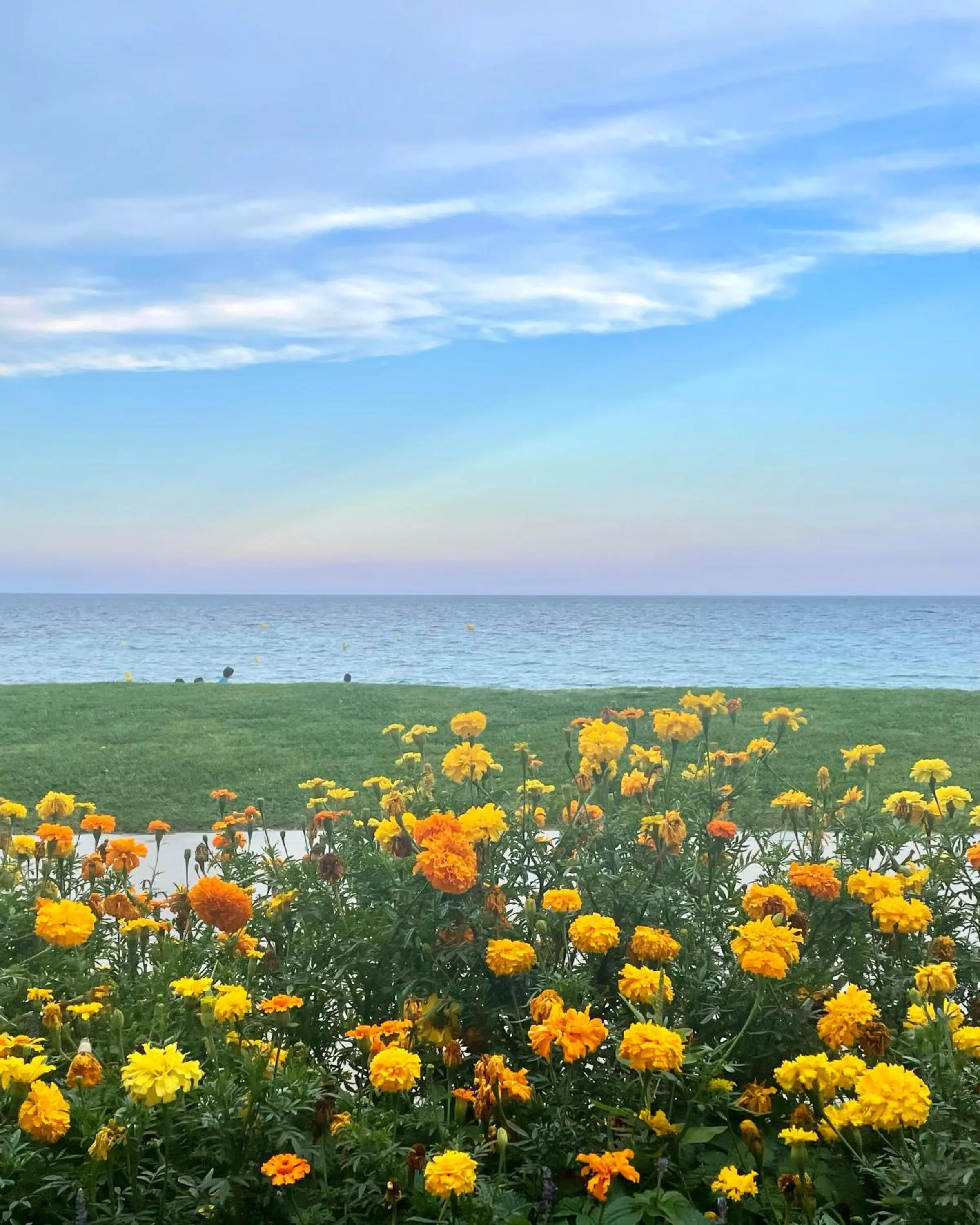 Spring in Hotel Rosamar