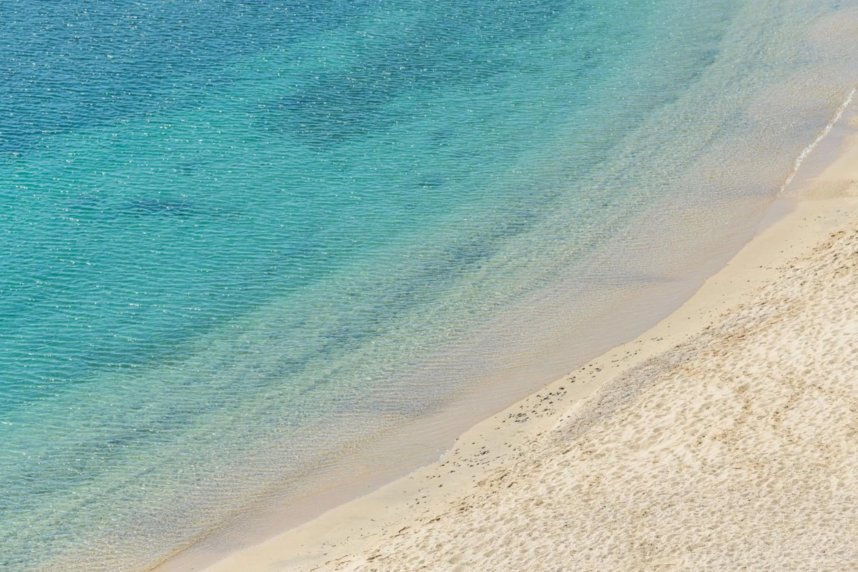 Day in Hotel Rosamar