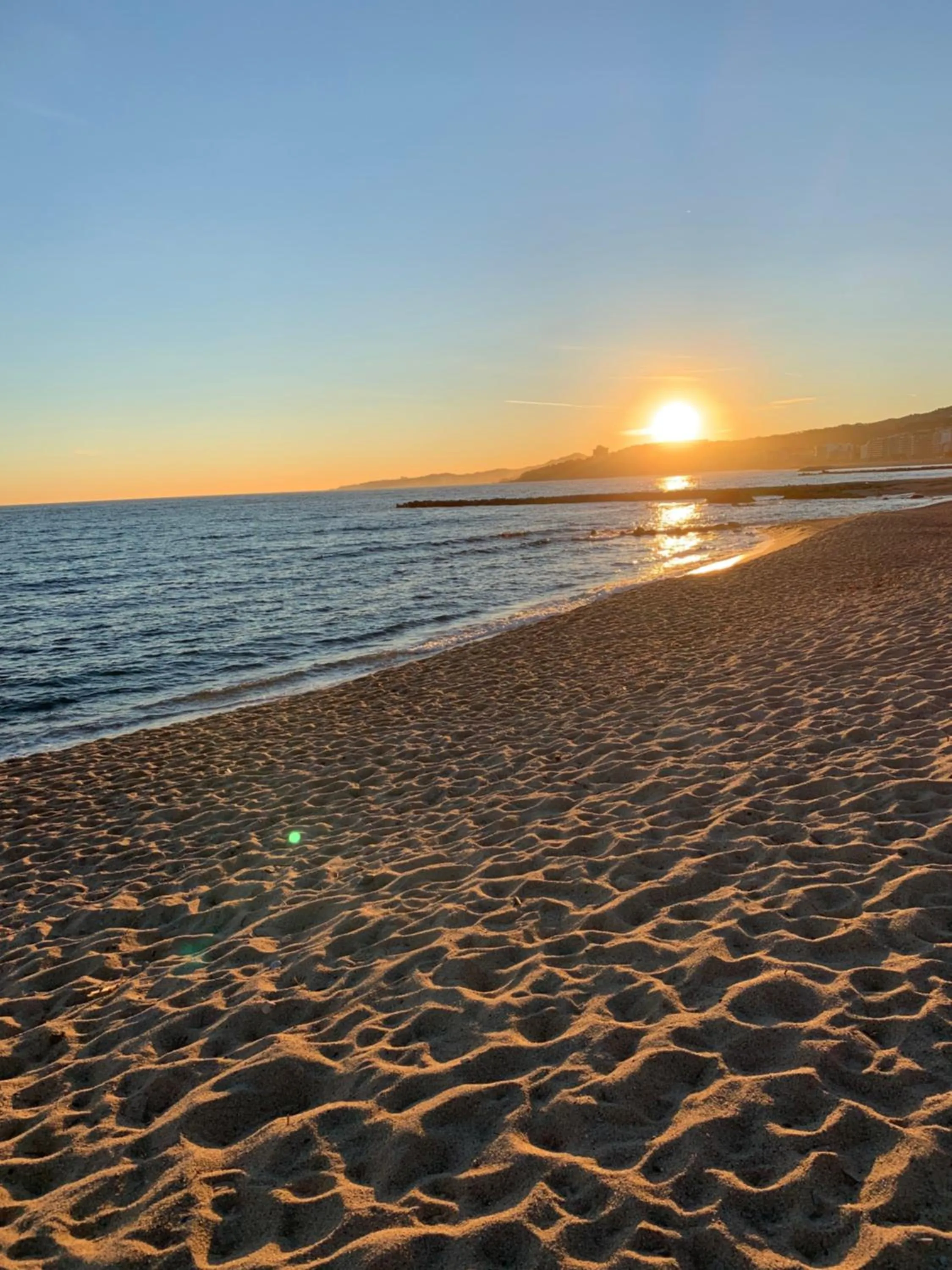 Natural landscape in Hotel Rosamar